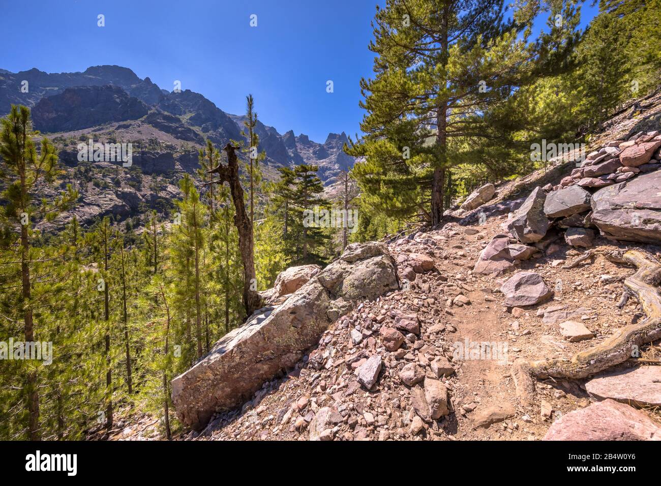 Percorso a piedi nella gola del fiume Asco con vista sul monte Cinto in Haute Corse sull'isola della Corsica, Francia Foto Stock