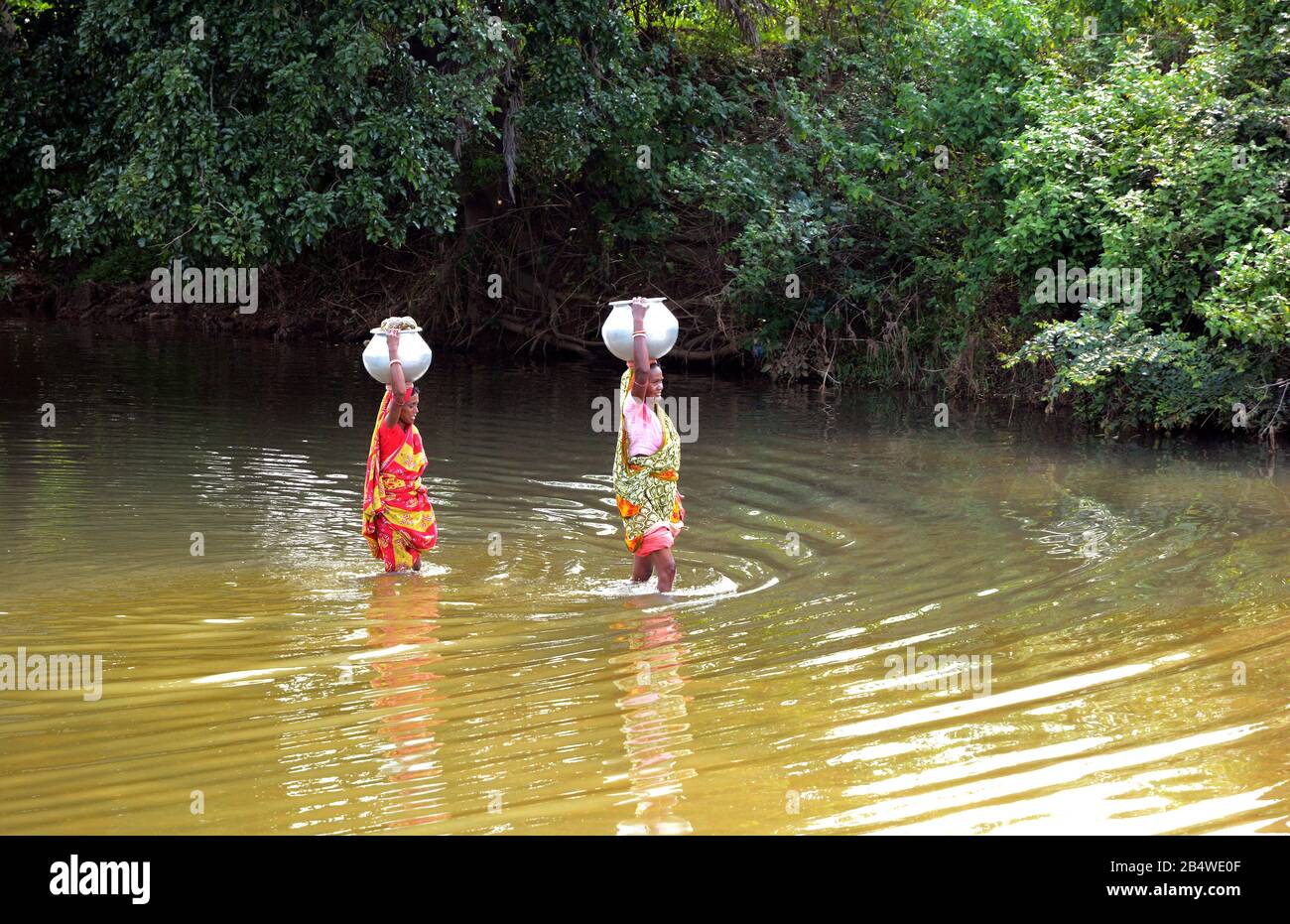 Acqua potabile - Lotta per l'acqua potabile nel remoto villaggio del Bengala Occidentale, India. Foto Stock