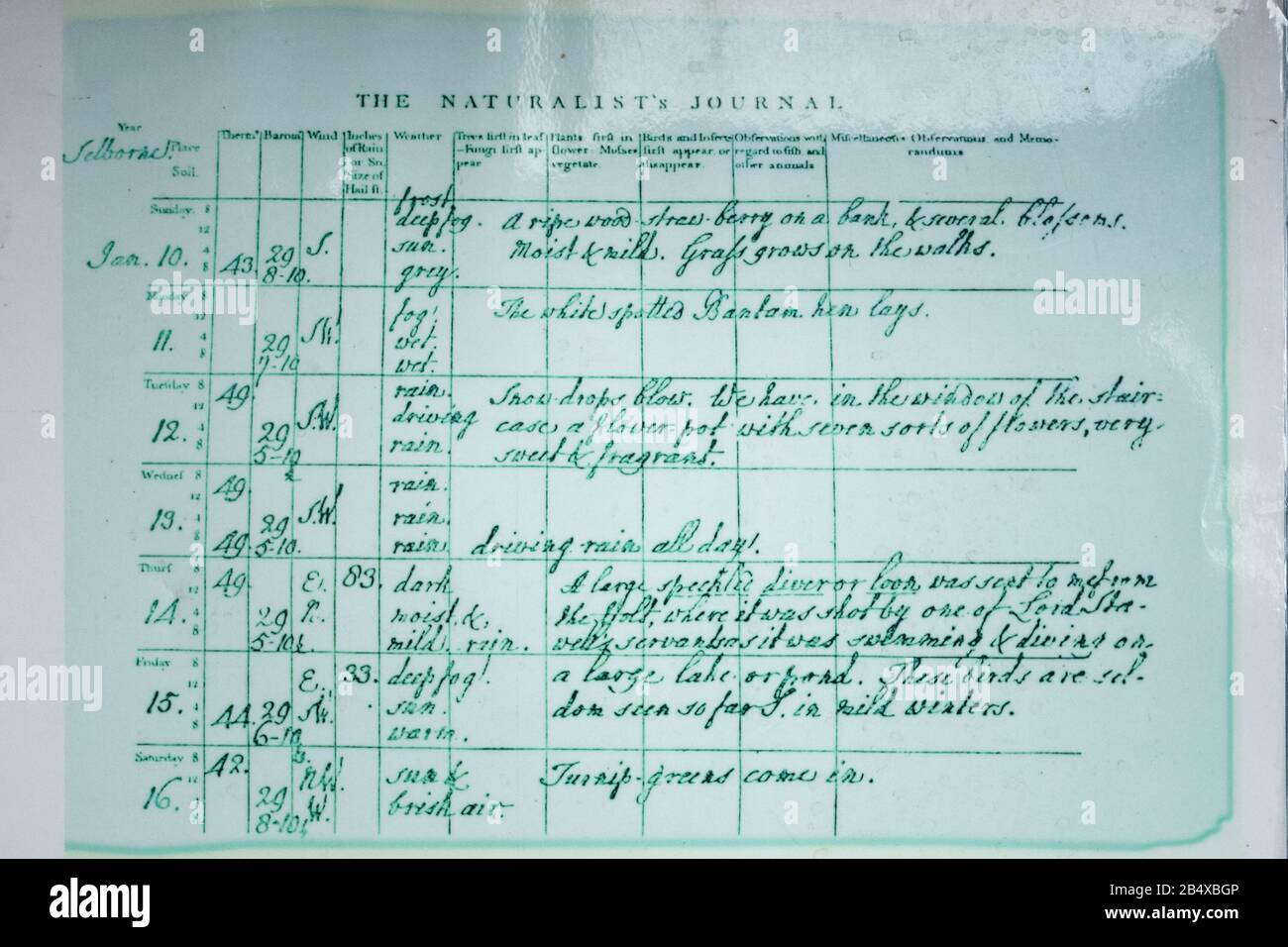 Estratto dal Naturalist's Journal di Gilbert White, storico monumento naturalistico del XVIII secolo di Gilbert White a casa sua a Selborne, Hampshire, Regno Unito Foto Stock