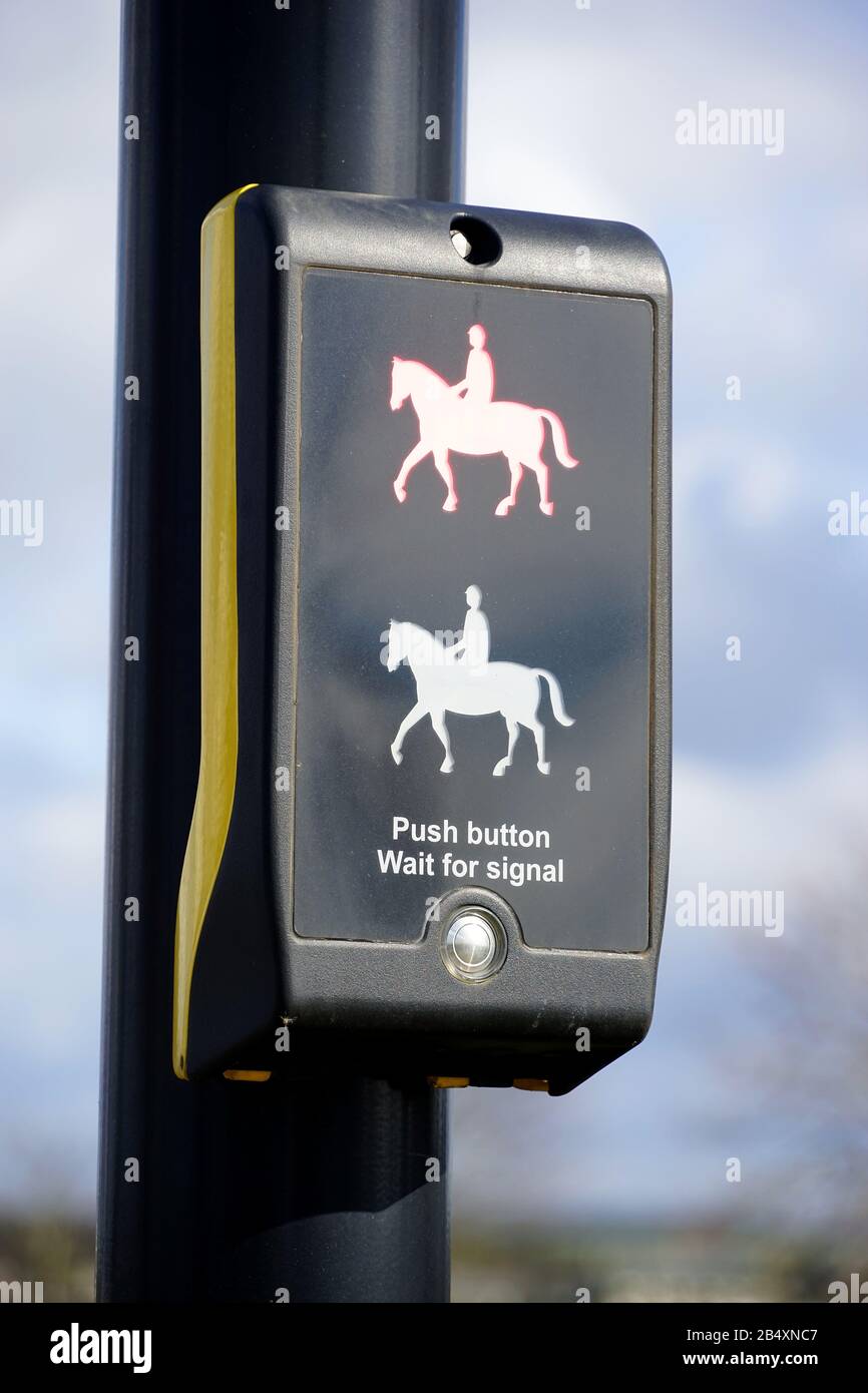 Pedone ed equestre 'pegasus' che attraversano la strada a Newmarket vicino all'ippodromo di Rowley Mile Foto Stock