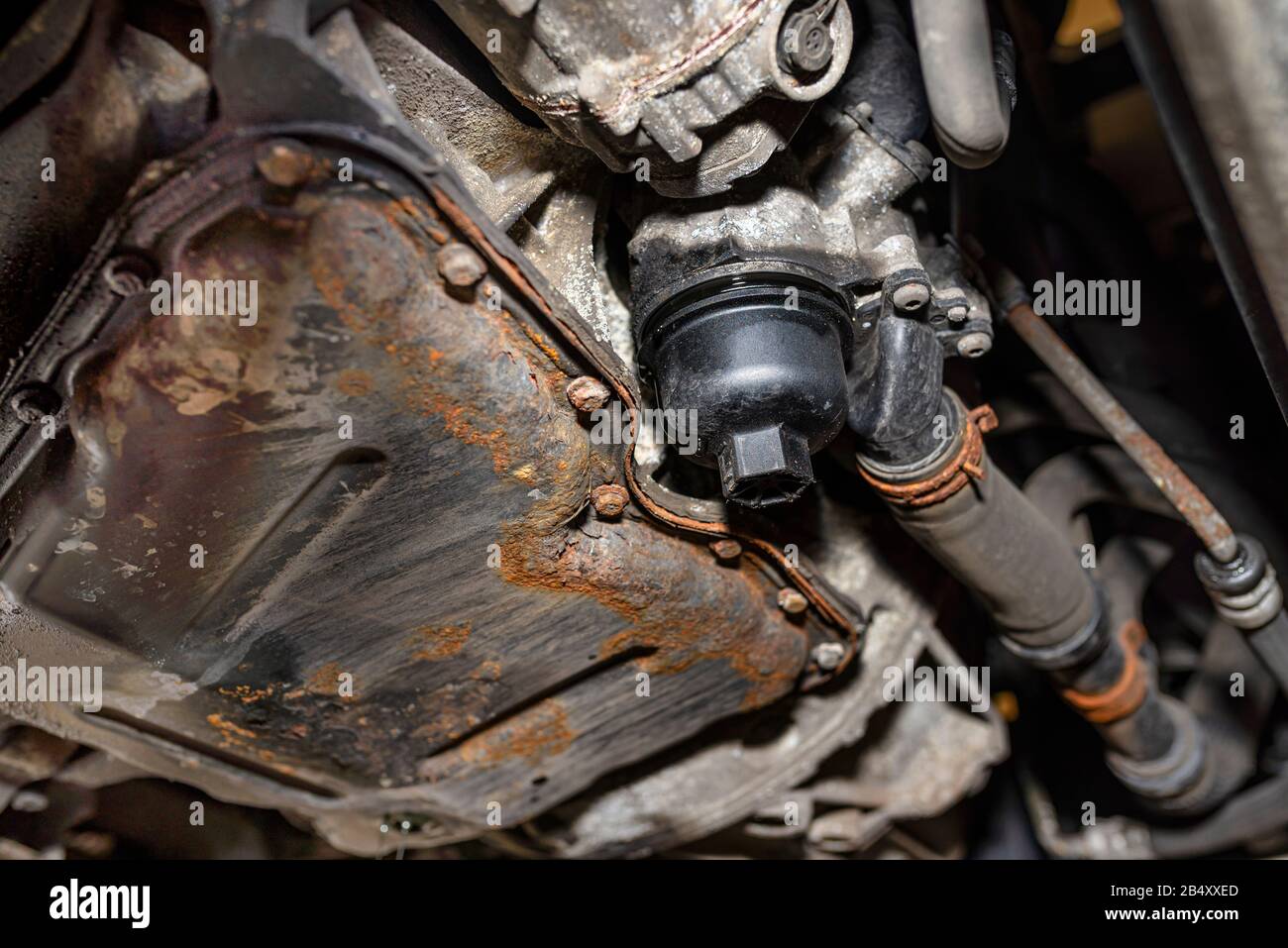 Filtro dell'olio avvitato nel motore diesel sul fondo del motore accanto alla coppa dell'olio. Foto Stock