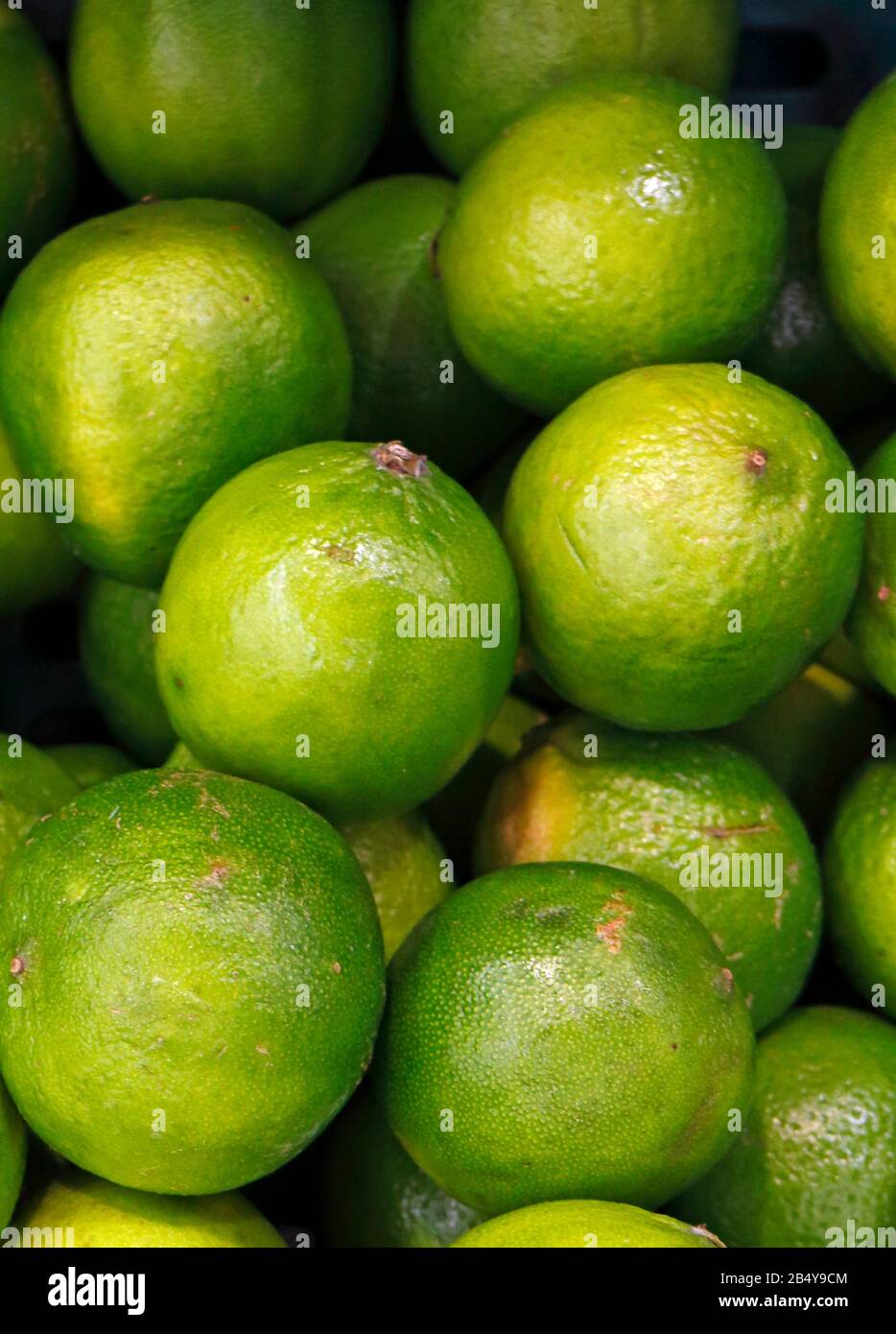 Una scatola di Limes in mostra in un supermercato inglese. Foto Stock