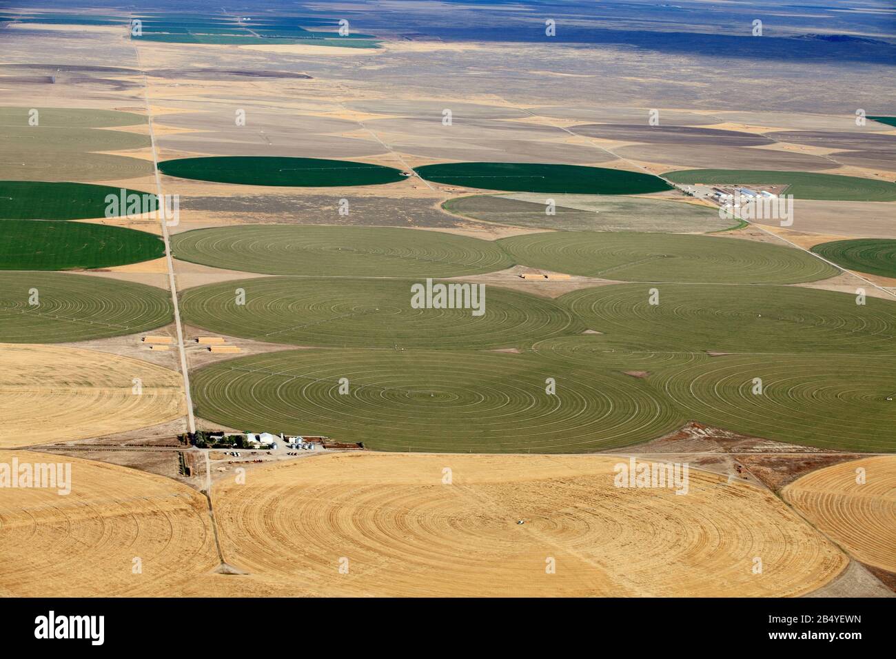 Una vista aerea dei cerchi di coltivazione creati da molti sprinkler a perno per centri agricoli utilizzati per irrigare i terreni agricoli nei fertili campi agricoli dell'Idaho Foto Stock