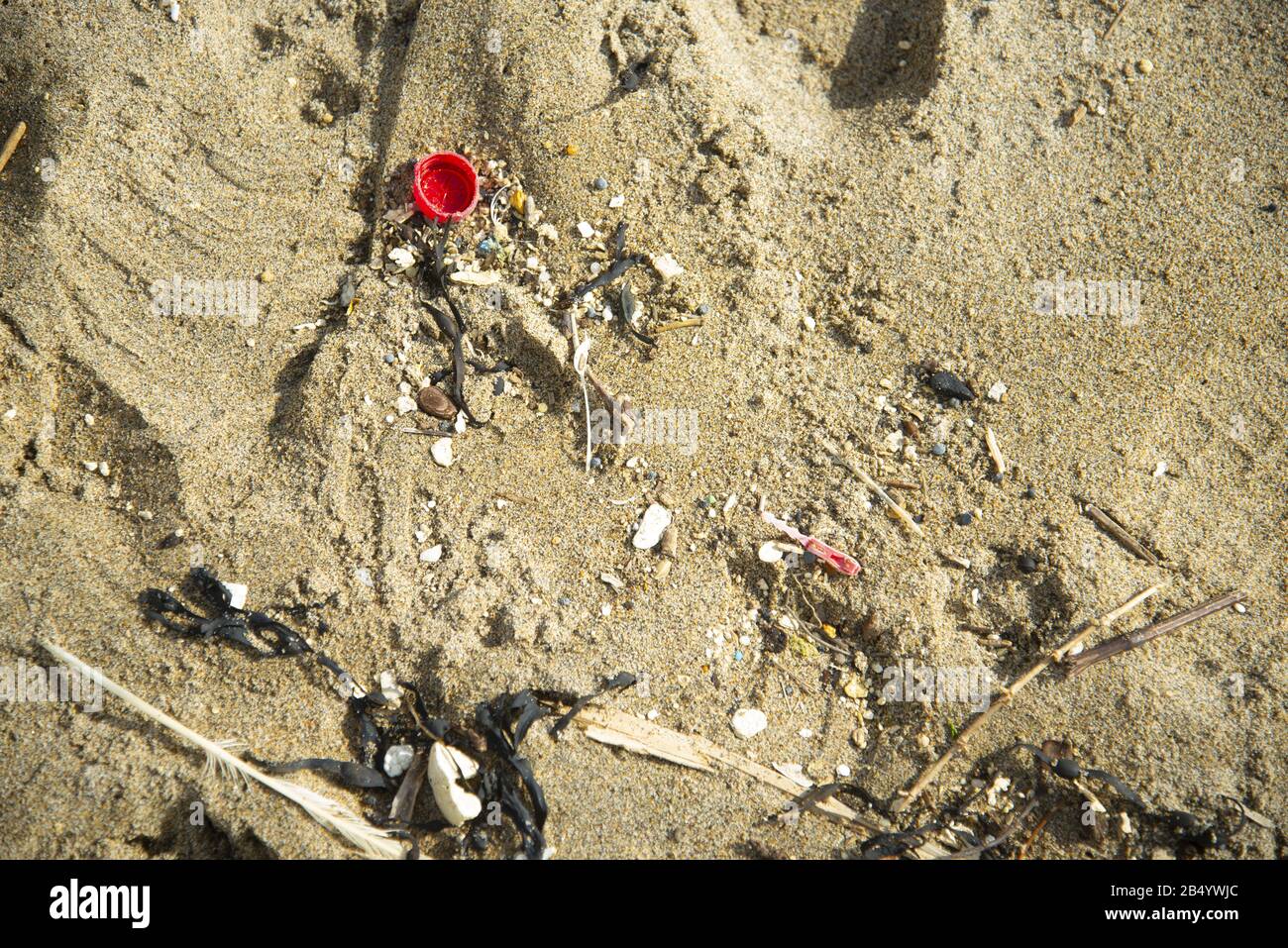 Spiaggia in Cornovaglia con rifiuti di plastica scartati Foto Stock