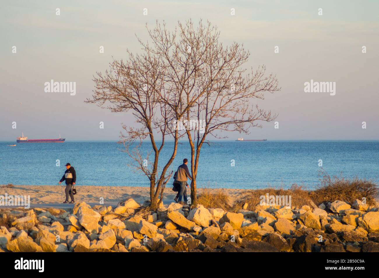 Persone che camminano sulla spiaggia, all'aperto, al tramonto, alberi e scogliere Foto Stock