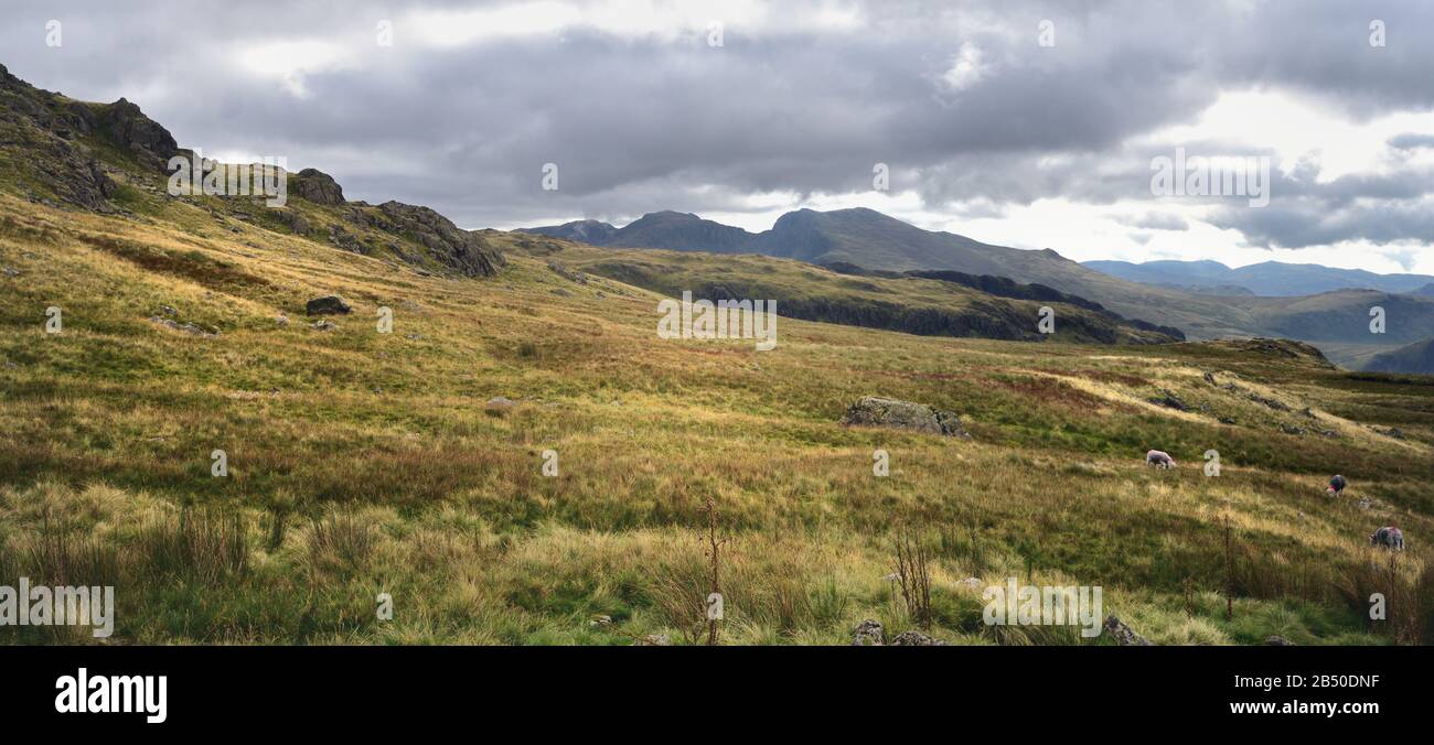 Attraverso la brughiera a Scafell Pike Foto Stock