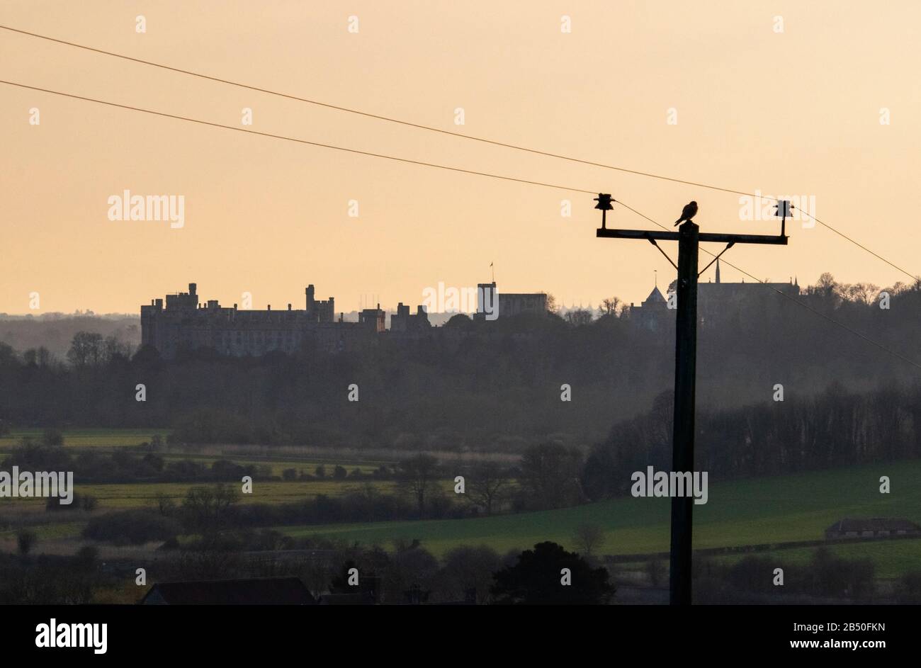 Kestrel silhouette di fronte al castello di Arundel Foto Stock