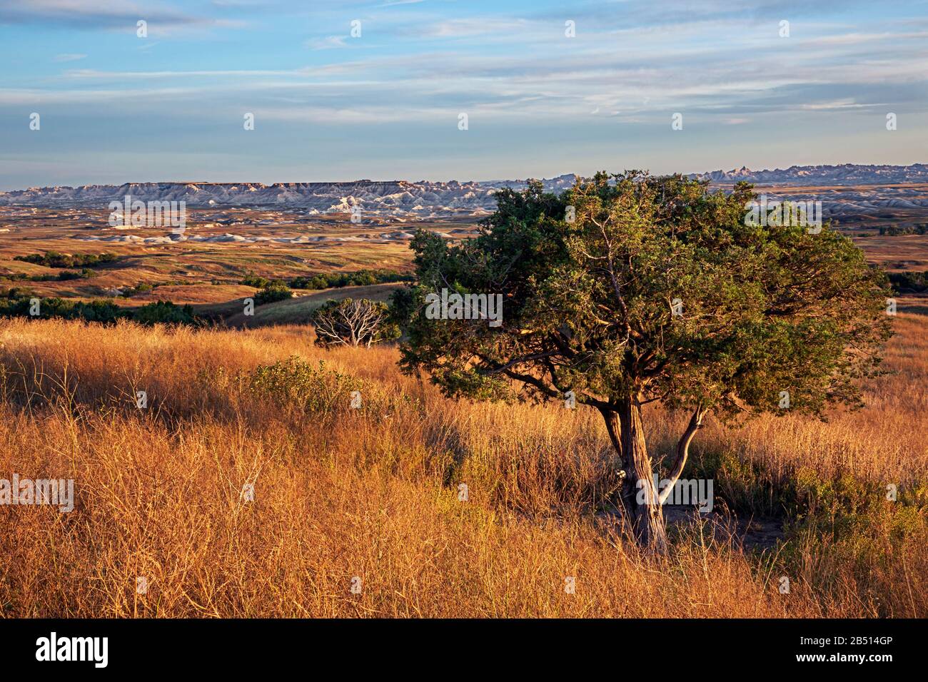 SD00321-00...SOUTH DAKOTA - Vista tardo pomeriggio della Badlands Wilderness dalla Sage Creek Rim Road nel Badlands National Park. Foto Stock