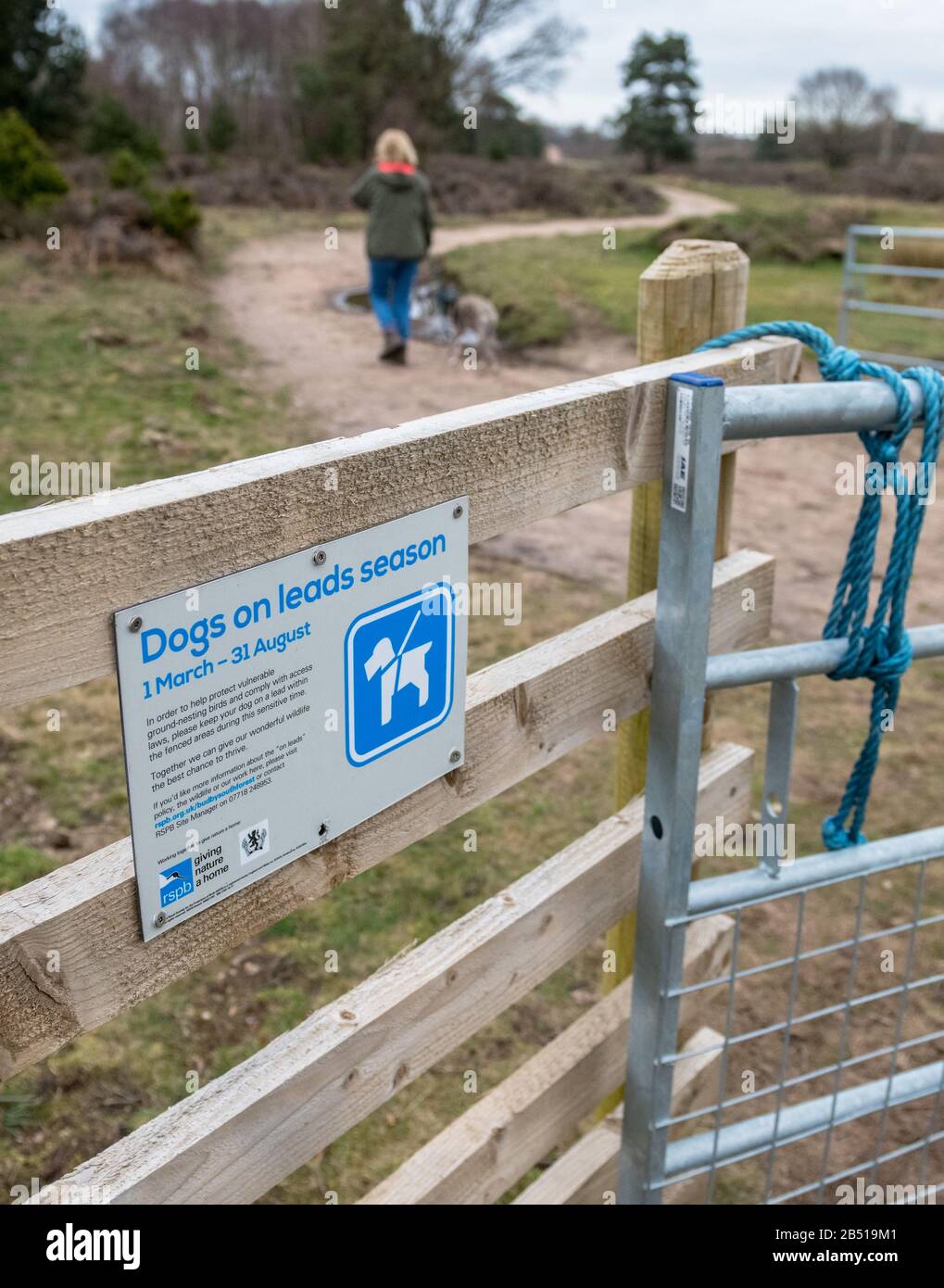 Riproduzione degli uccelli stagione, i cani devono essere tenuti al guinzaglio. Foto Stock