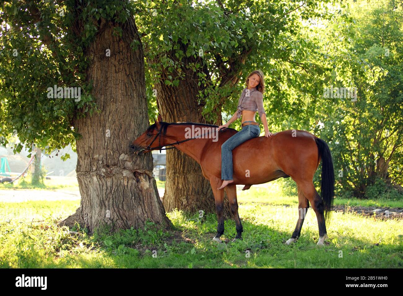 Bella donna di campagna passeggiate con cavallo in boschi bagliore al tramonto Foto Stock