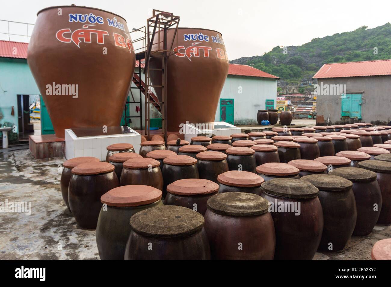 DSC02029 Cat Ba Island, Vietnam 17 ottobre 2019. Grandi vasi nella produzione di salsa di pesce in Vietnam. Stabilimenti di produzione di salsa di pesce su Cat Ba isla Foto Stock