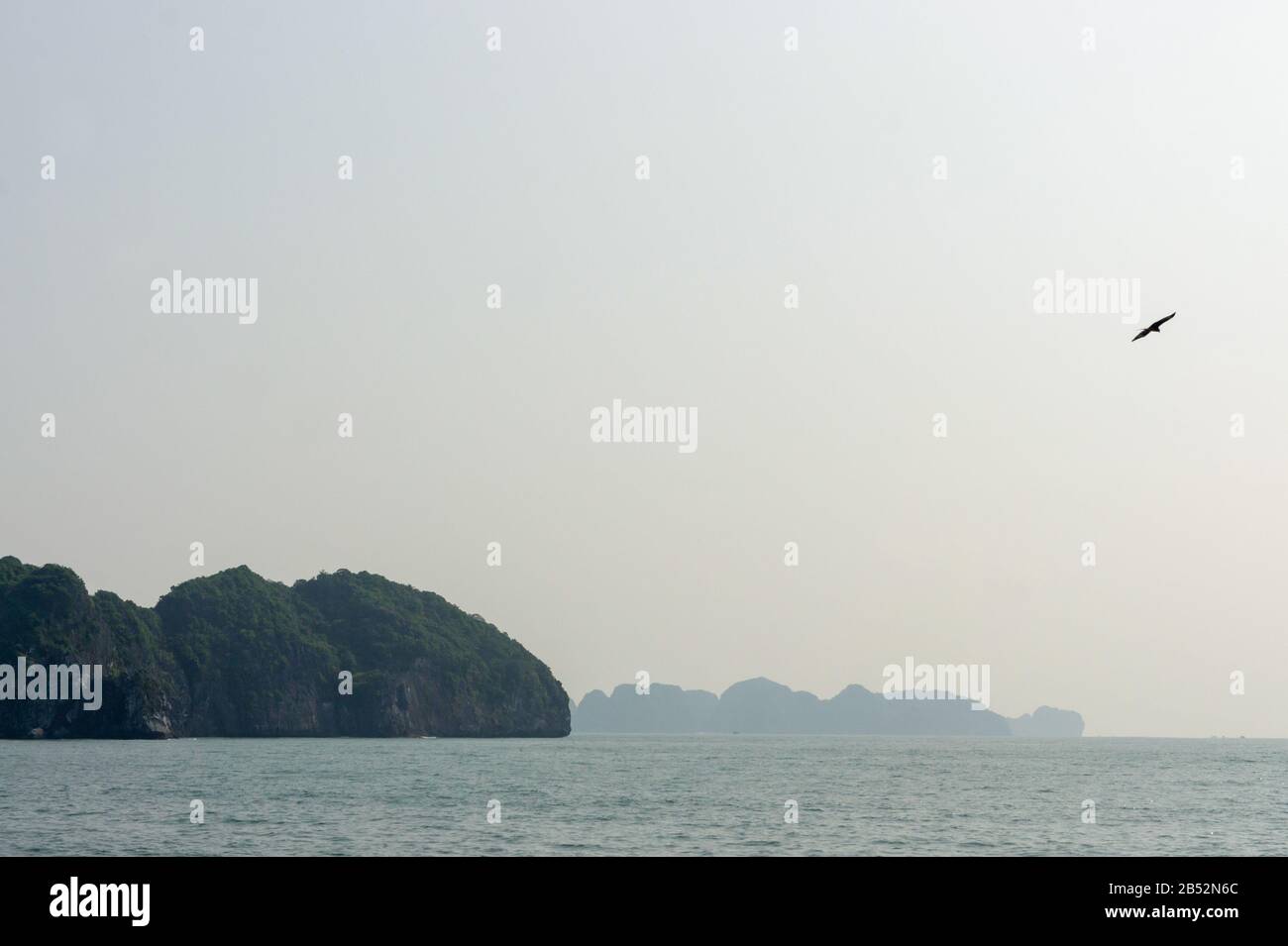 Una Giornata Misty A Halong Bay, South China Sea, Vietnam, Sud-Est Asiatico, tra scogliere calcaree. Aquila volante Foto Stock