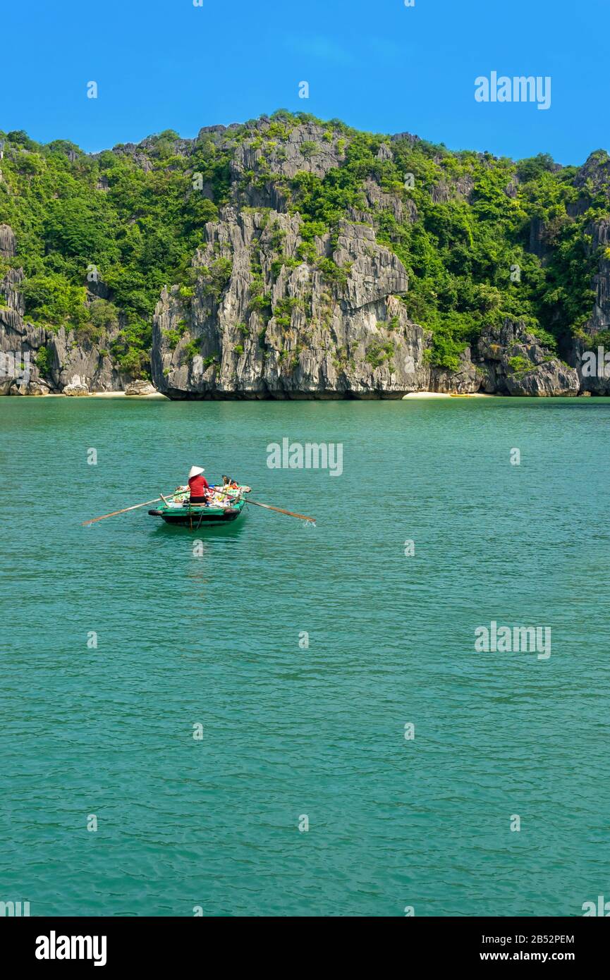 Halong Bay isole. Attrazione turistica, spettacolari grotte calcaree naturali formazioni grotta. Terra carsica nel mare, il patrimonio naturale del mondo. Foto Stock