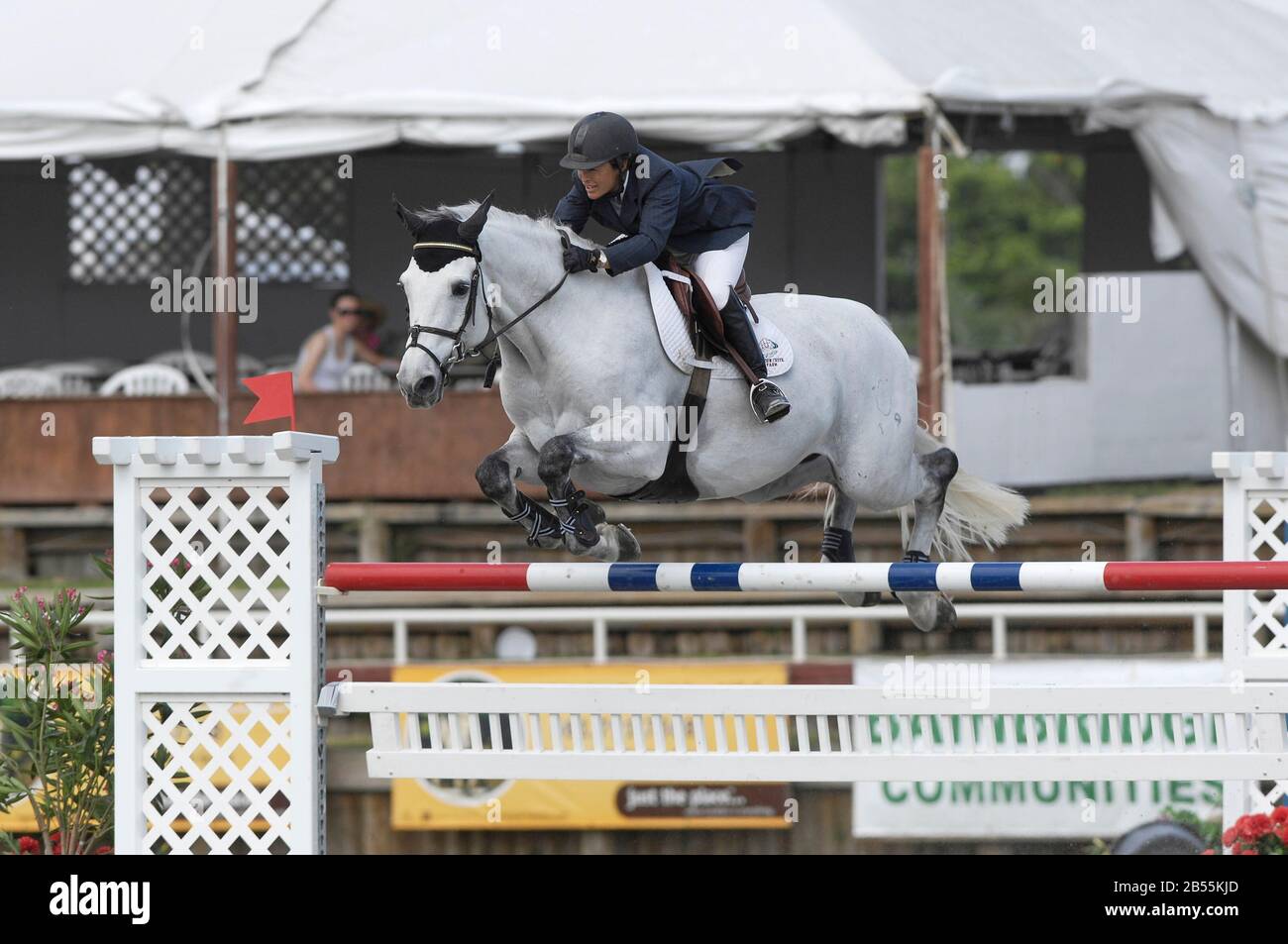 Margie Engle (Usa) In Sella Al Calippo 12 Di Hidden Creek, Winter Equestrian Festival, Wellington Florida, Marzo 2007 Foto Stock