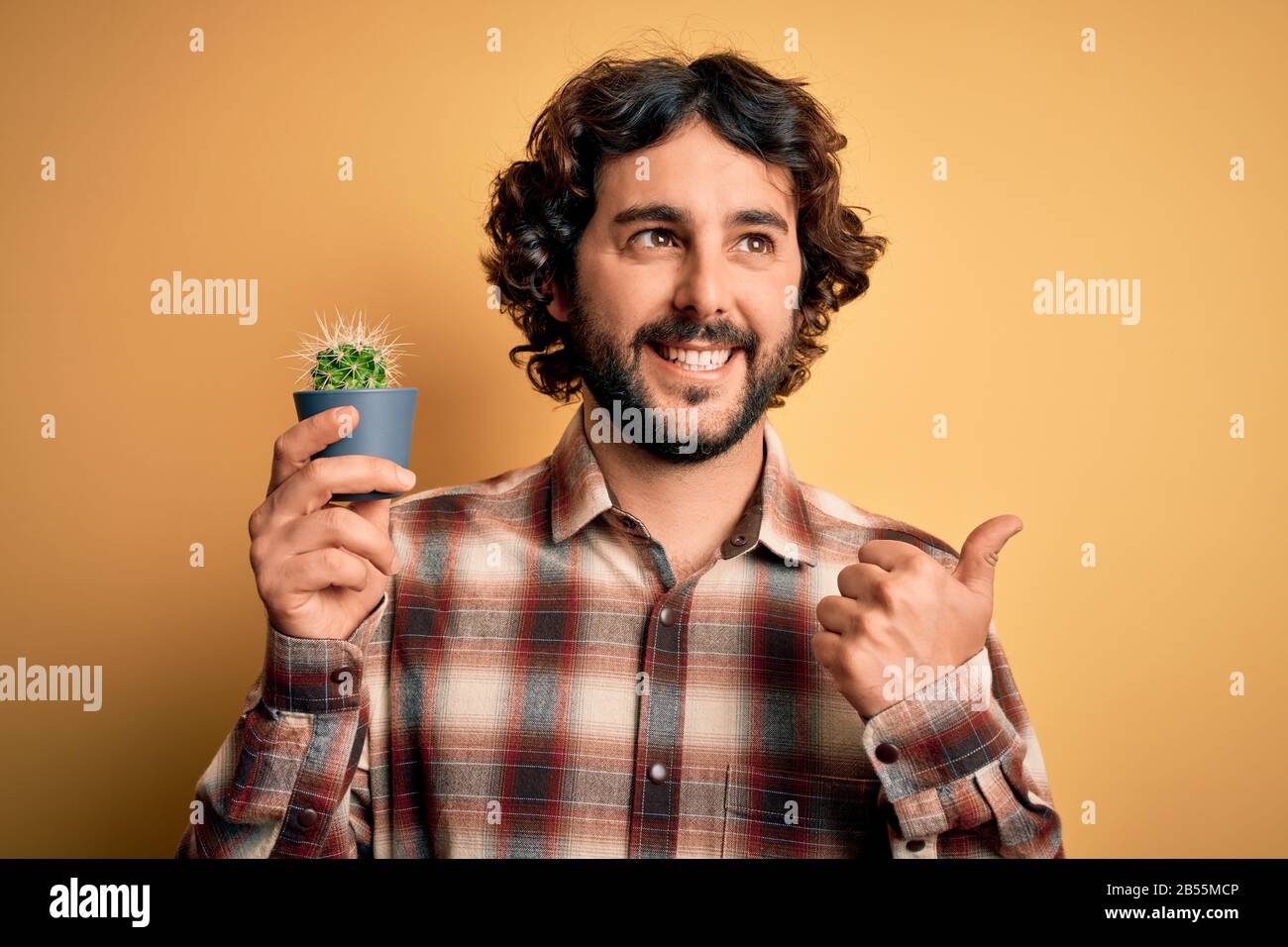 Giovane uomo con capelli ricci e barba che tiene piccolo vaso di piante di cactus su sfondo giallo che punta e mostra con il pollice fino al lato con fa felice Foto Stock