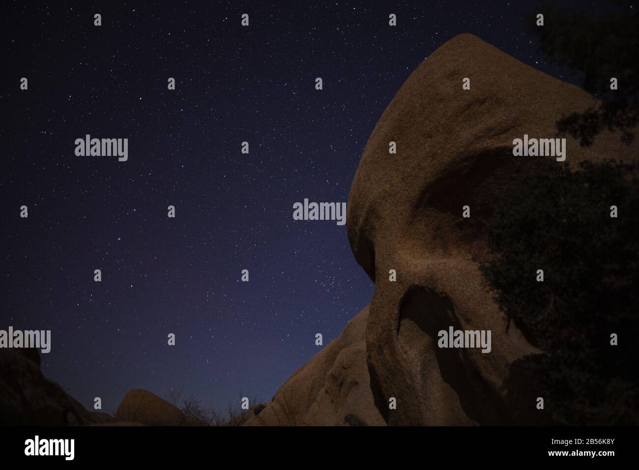 Cranio Rock Sotto Le Stelle (Joshua Tree National Park) Foto Stock