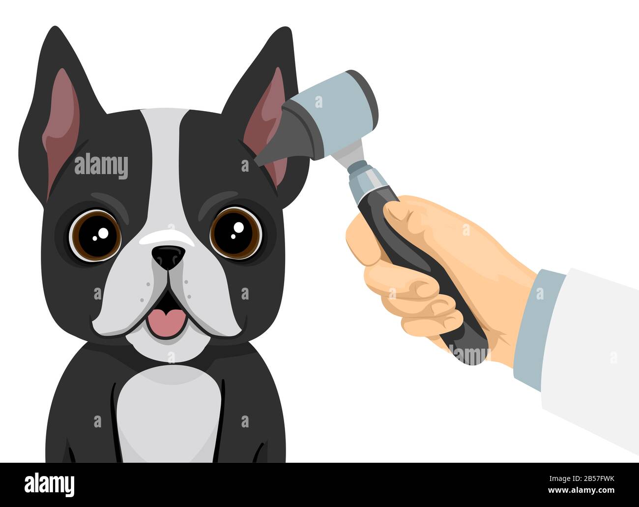 Illustrazione di un cane carino con Otoscope Tenuto Da Una Mano sul suo orecchio Avendo Ear Check Up Foto Stock Illustrazione di un cane carino con Otoscope Tenuto Da Una Mano sul suo orecchio Avendo Ear Check Up Foto Stock