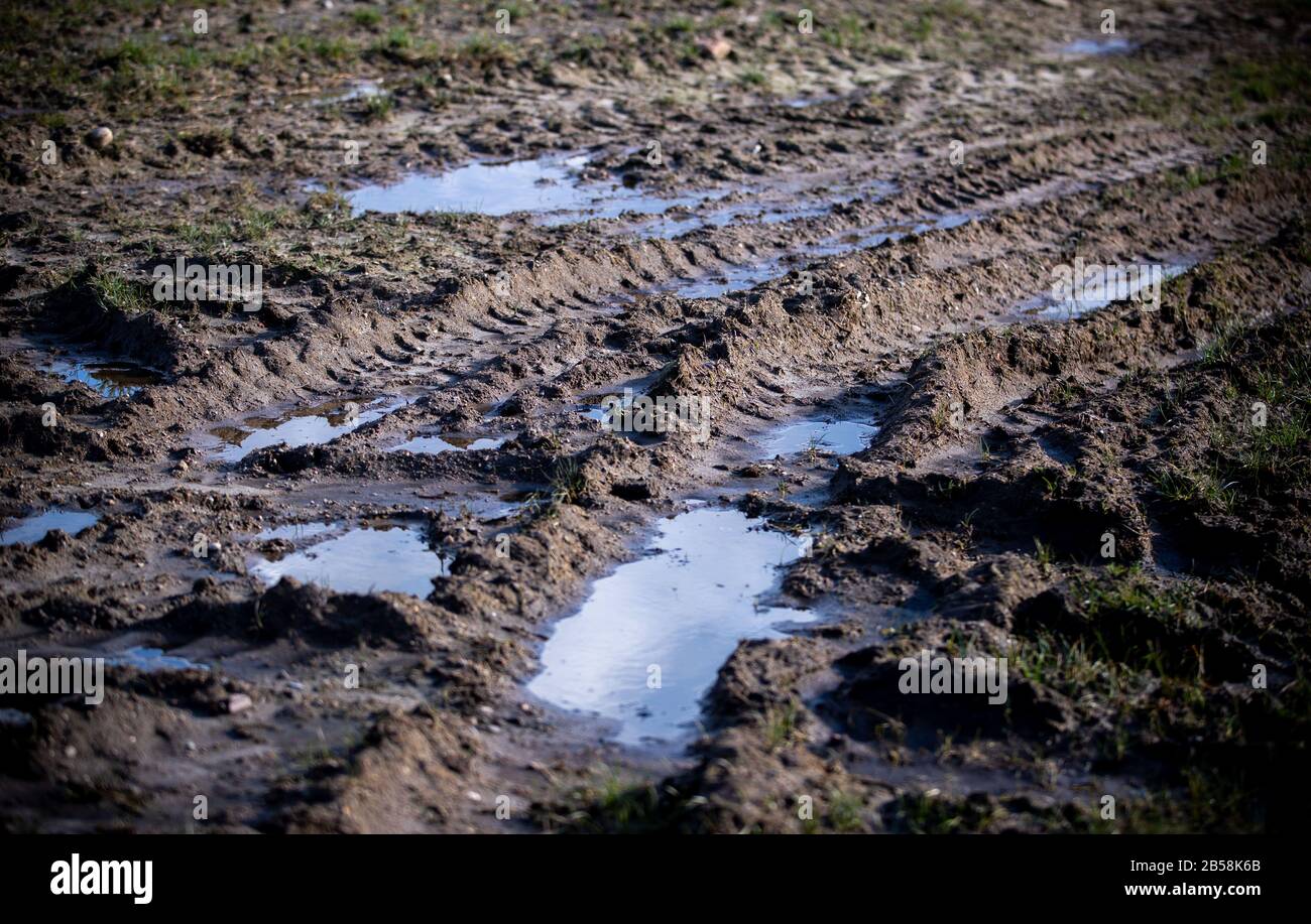 Wittenburg, Germania. 05th Mar, 2020. Un trattore ha premuto i cingoli profondi nel terreno ammorbidito dopo le precipitazioni pesanti. L'organizzazione ambientale BUND ha invitato il governo statale del Meclemburgo-Pomerania occidentale ad attuare il programma statale per la protezione del suolo. Si tratta della conservazione o del ripristino delle buone condizioni del suolo dei campi, prati e pascoli. Credito: Jens Büttner/Dpa-Zentralbild/Dpa/Alamy Live News Foto Stock