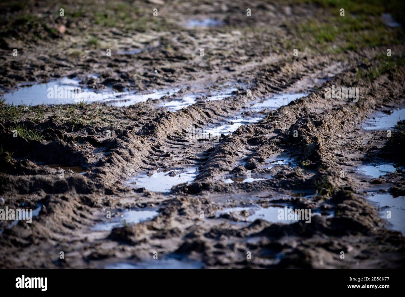 Wittenburg, Germania. 05th Mar, 2020. Un trattore ha premuto i cingoli profondi nel terreno ammorbidito dopo le precipitazioni pesanti. L'organizzazione ambientale BUND ha invitato il governo statale del Meclemburgo-Pomerania occidentale ad attuare il programma statale per la protezione del suolo. Si tratta della conservazione o del ripristino delle buone condizioni del suolo dei campi, prati e pascoli. Credito: Jens Büttner/Dpa-Zentralbild/Dpa/Alamy Live News Foto Stock