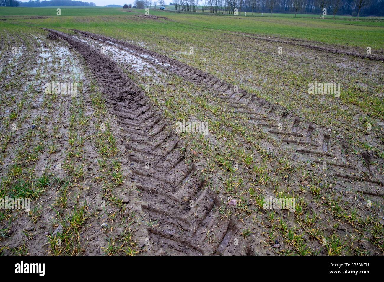 Schattin, Germania. 06th Mar, 2020. Un trattore ha premuto i cingoli profondi nel terreno ammorbidito dopo le precipitazioni pesanti. L'organizzazione ambientale BUND ha invitato il governo statale del Meclemburgo-Pomerania occidentale ad attuare il programma statale per la protezione del suolo. Si tratta della conservazione o del ripristino delle buone condizioni del suolo dei campi, prati e pascoli. Credito: Jens Büttner/Dpa-Zentralbild/Dpa/Alamy Live News Foto Stock