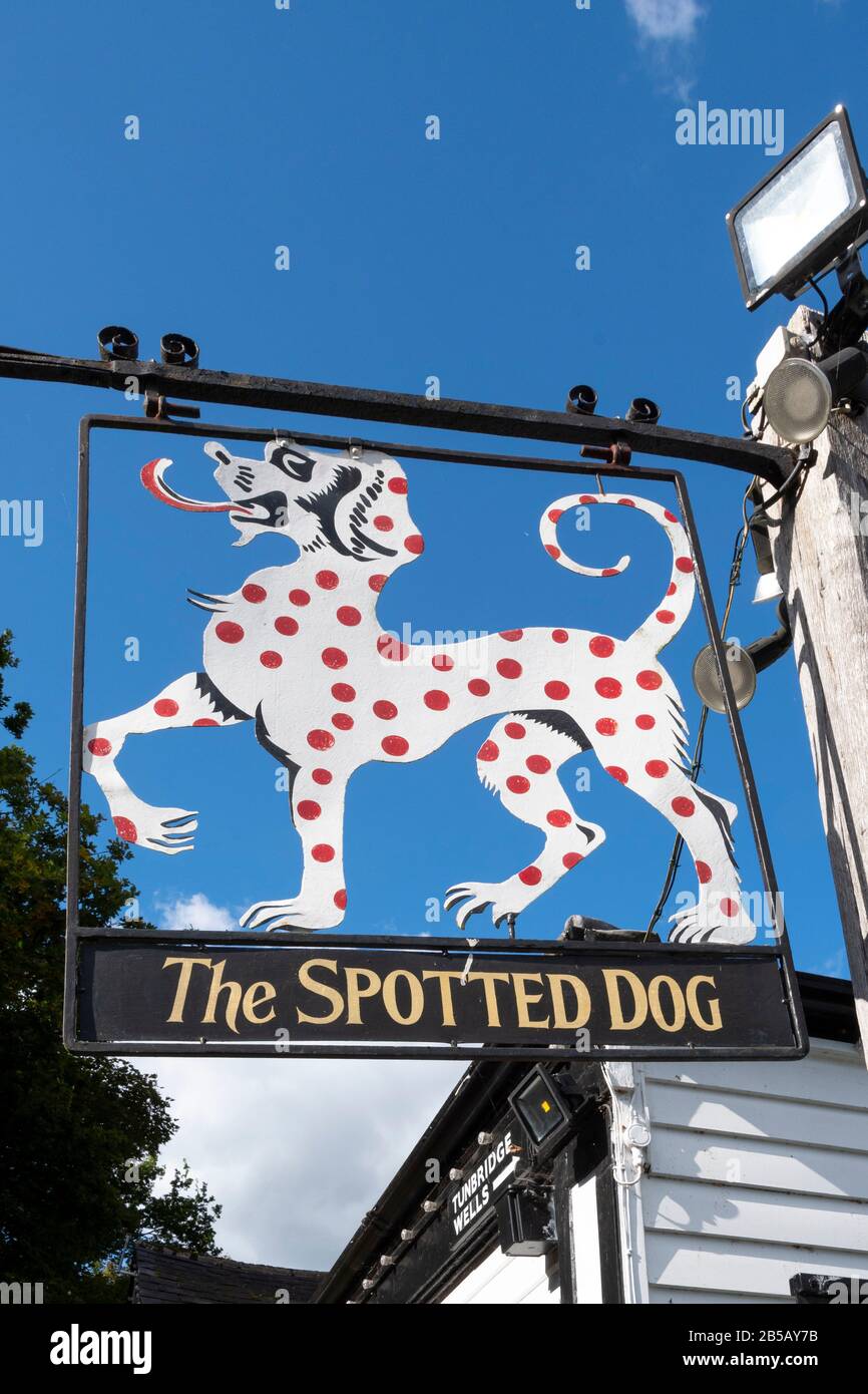 'The Spotted Dog' Pub A Penshurst, Kent, Inghilterra Foto Stock