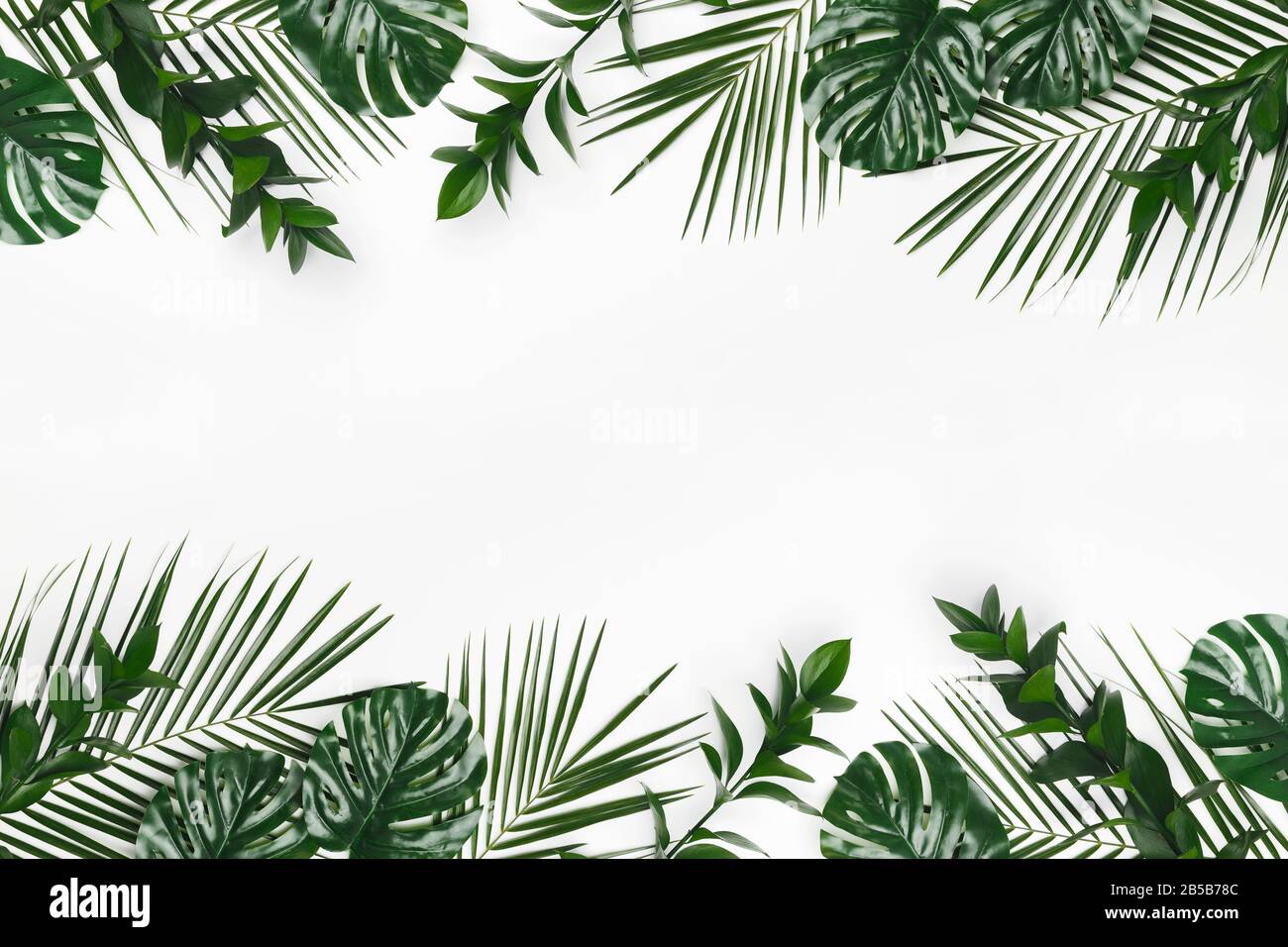 Naturale verde piatto foglie di palma tropicale distese su bianco Foto  stock - Alamy