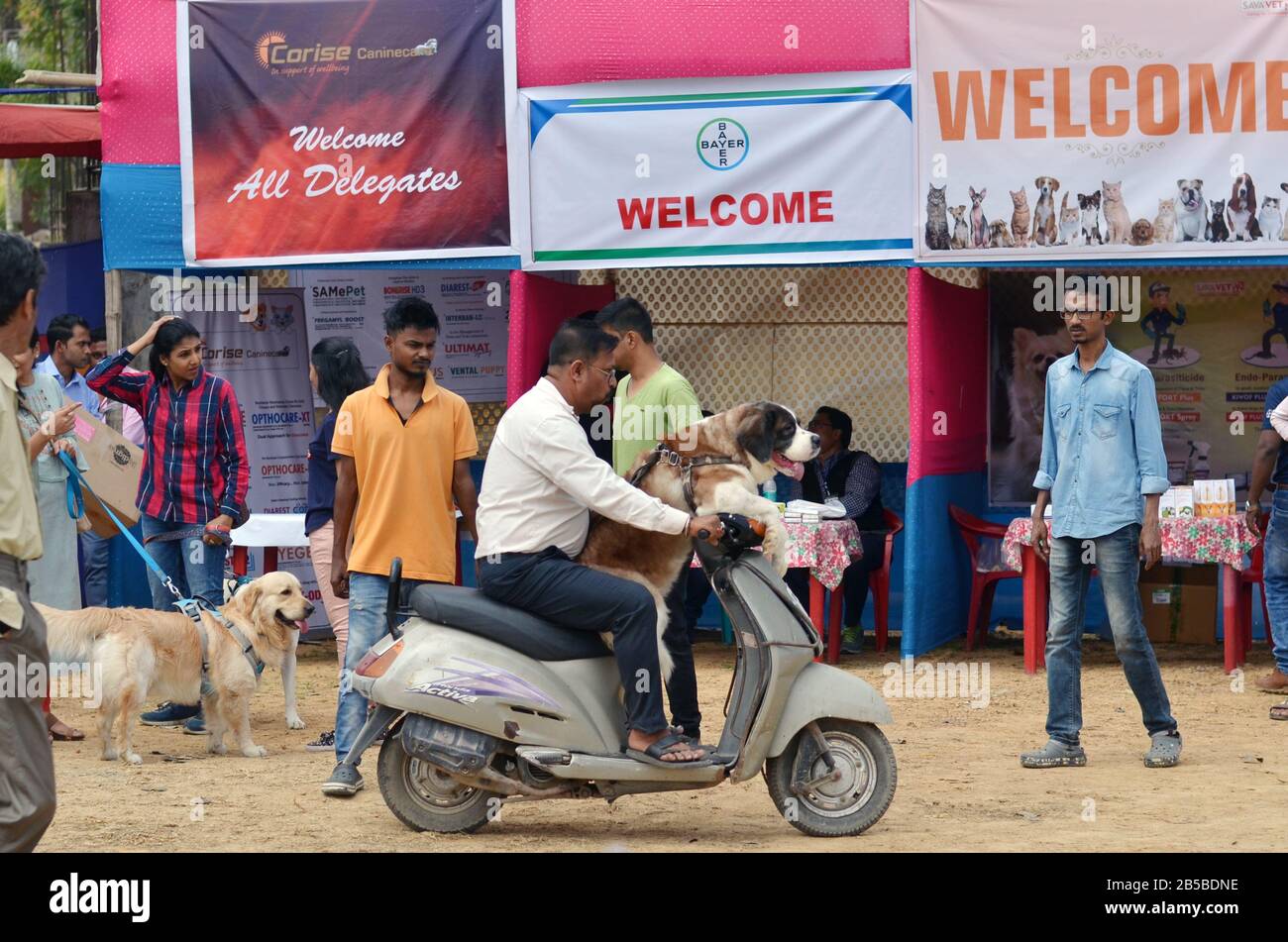 Nagaon, Assam / India - 08 marzo 2020 : un cane proprietario con il suo animale domestico arriva su uno scooter per partecipare a 2nd Nagaon Dog Show 2020 organizzato da Royal Pe Foto Stock