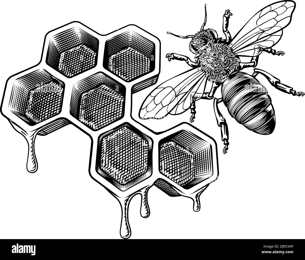 Il miele Bumble Bee e Honeycomb disegno Vintage Illustrazione Vettoriale