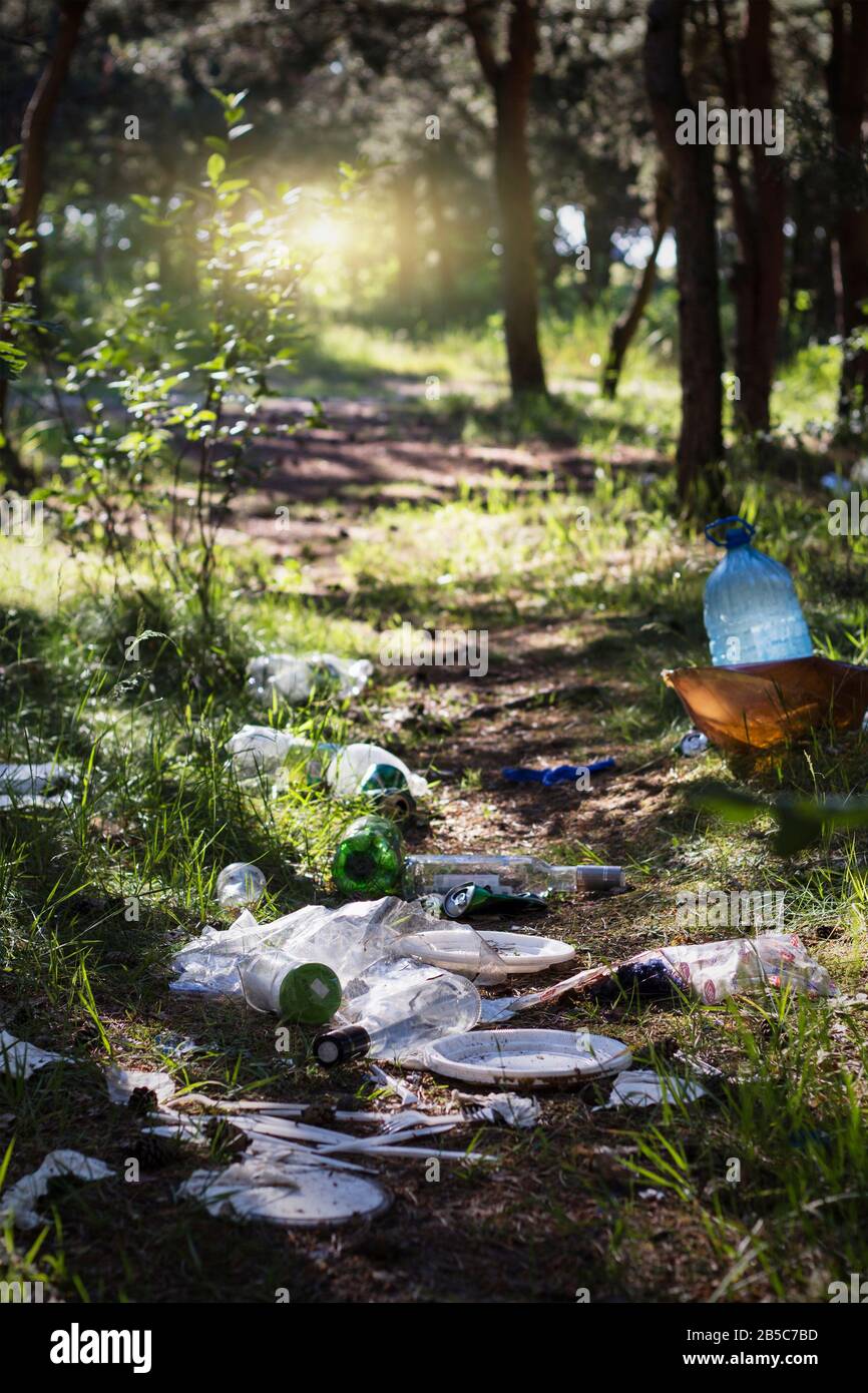 Pila di garage su erba verde nella natura dei problemi dell'ambiente. Protezione della natura Foto Stock