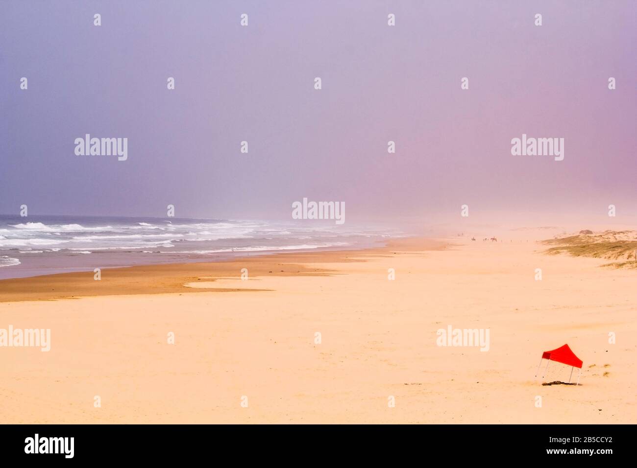 Dune Di Sabbia In Anna Bay, Port Stephens, Nuovo Galles Del Sud, Australia. Foto Stock