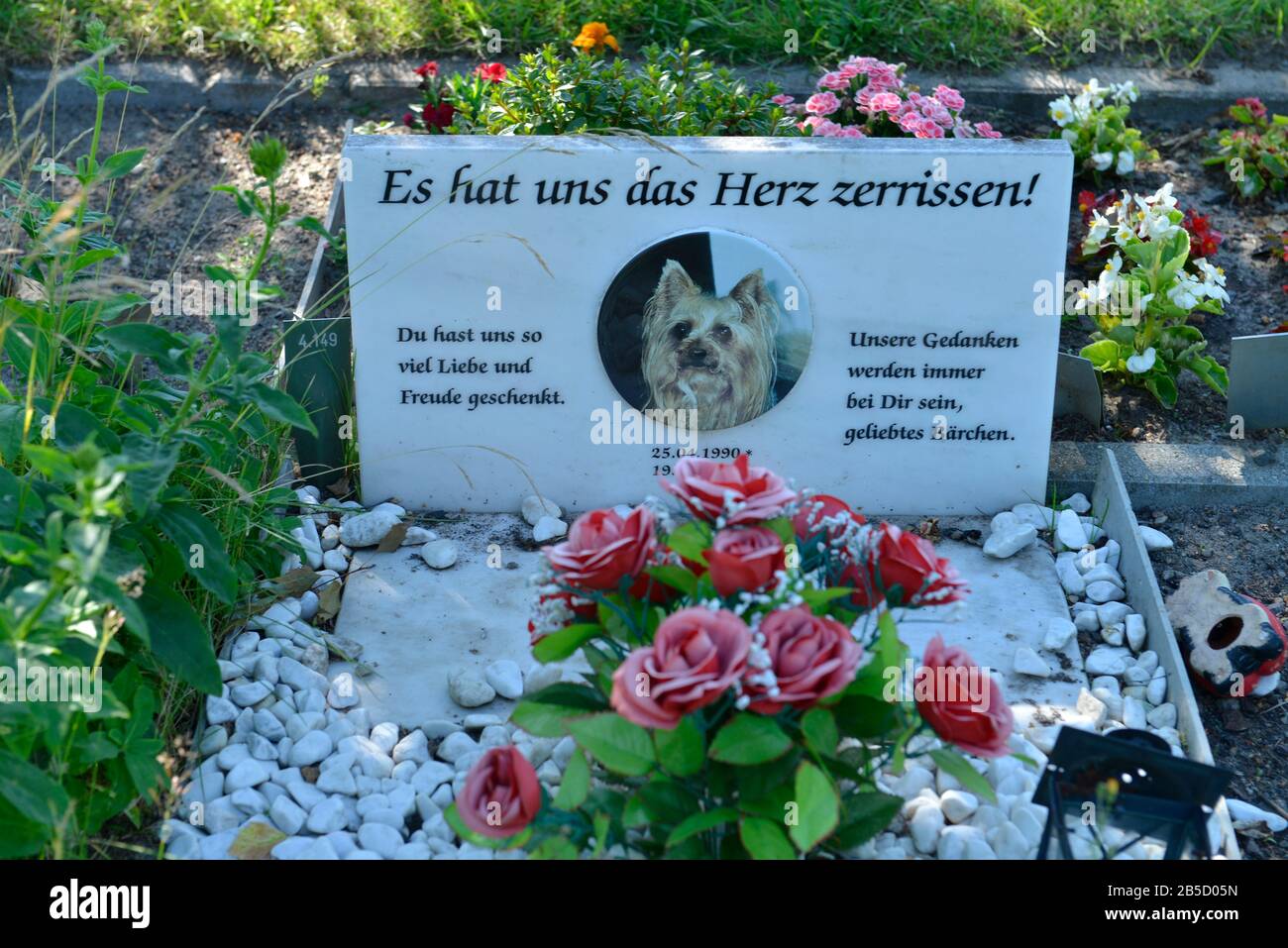 Tierfriedhof, Hausvaterweg, Falkenberg, Lichtenberg di Berlino, Deutschland Foto Stock