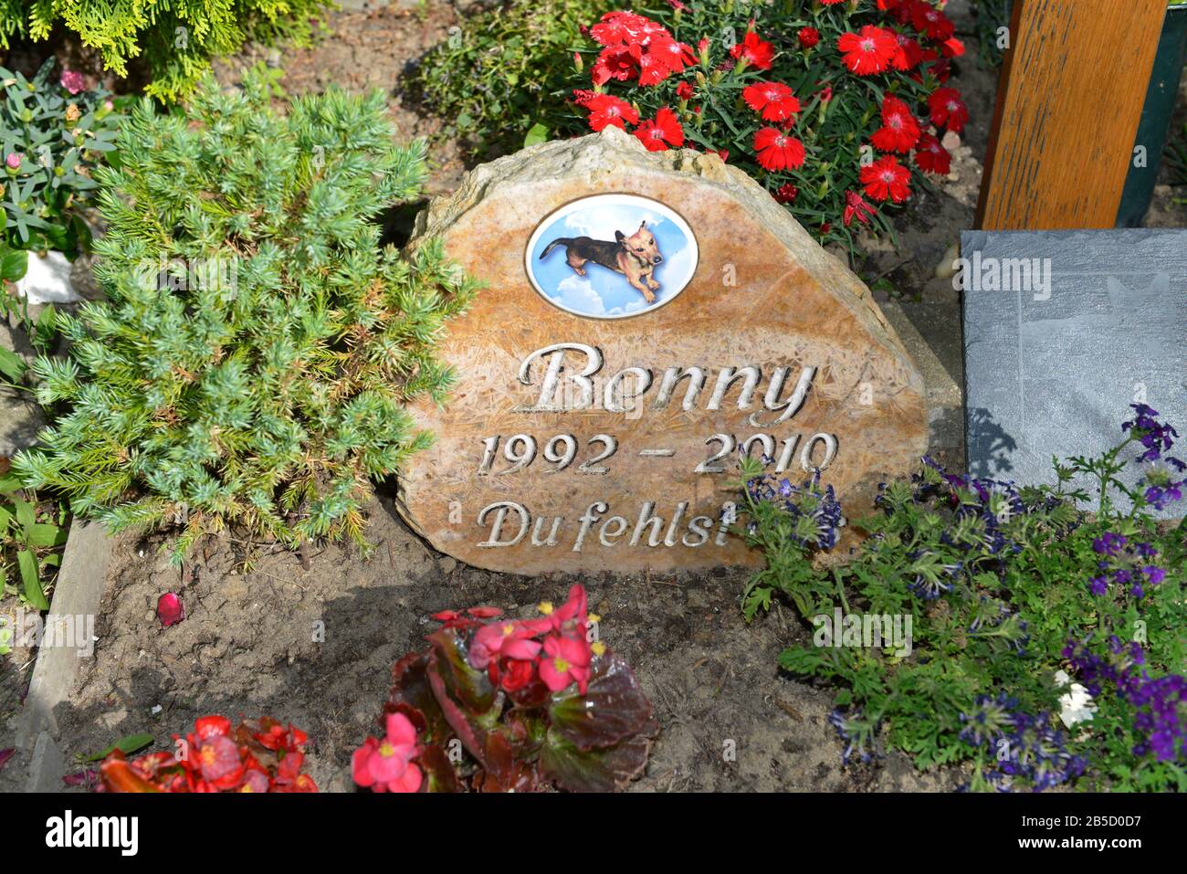Tierfriedhof, Hausvaterweg, Falkenberg, Lichtenberg di Berlino, Deutschland Foto Stock