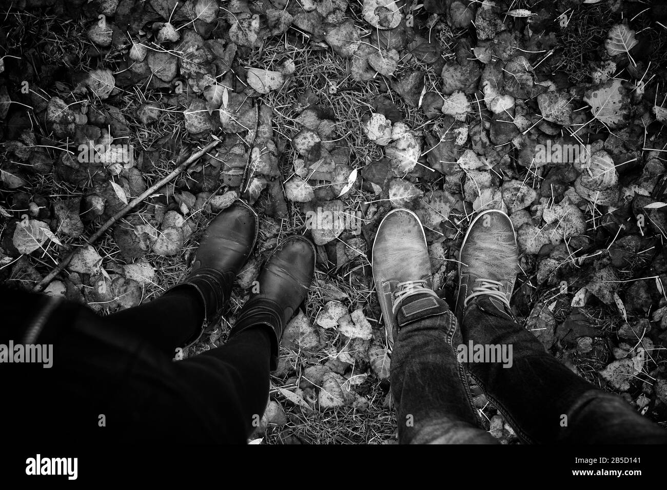 Foglie di autunno sul Park Floor, stagioni e ambiente Foto Stock