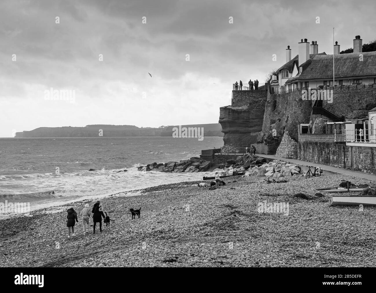 Camminando i cani lungo la spiaggia di ciottoli all'estremità occidentale del Devon di Sidmouth in marzo. Le graziose case di paglia si affacciano sul canale Inglese dall'alto Foto Stock
