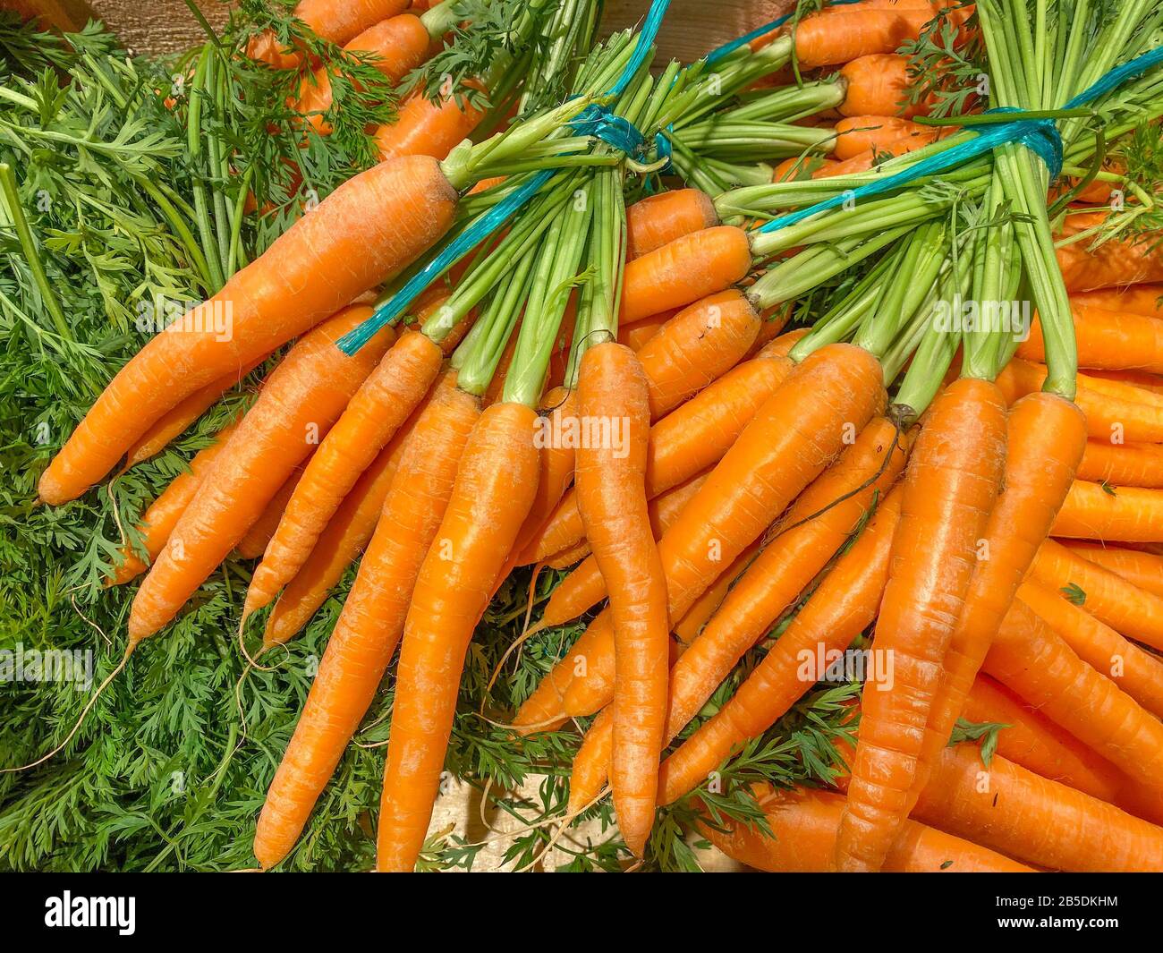 Crudo fresco carote Foto Stock