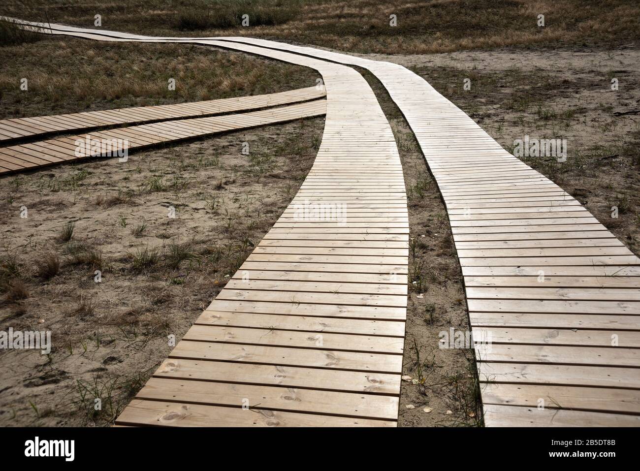 Passerella sulle dune di Parnidis, Lituania Foto Stock