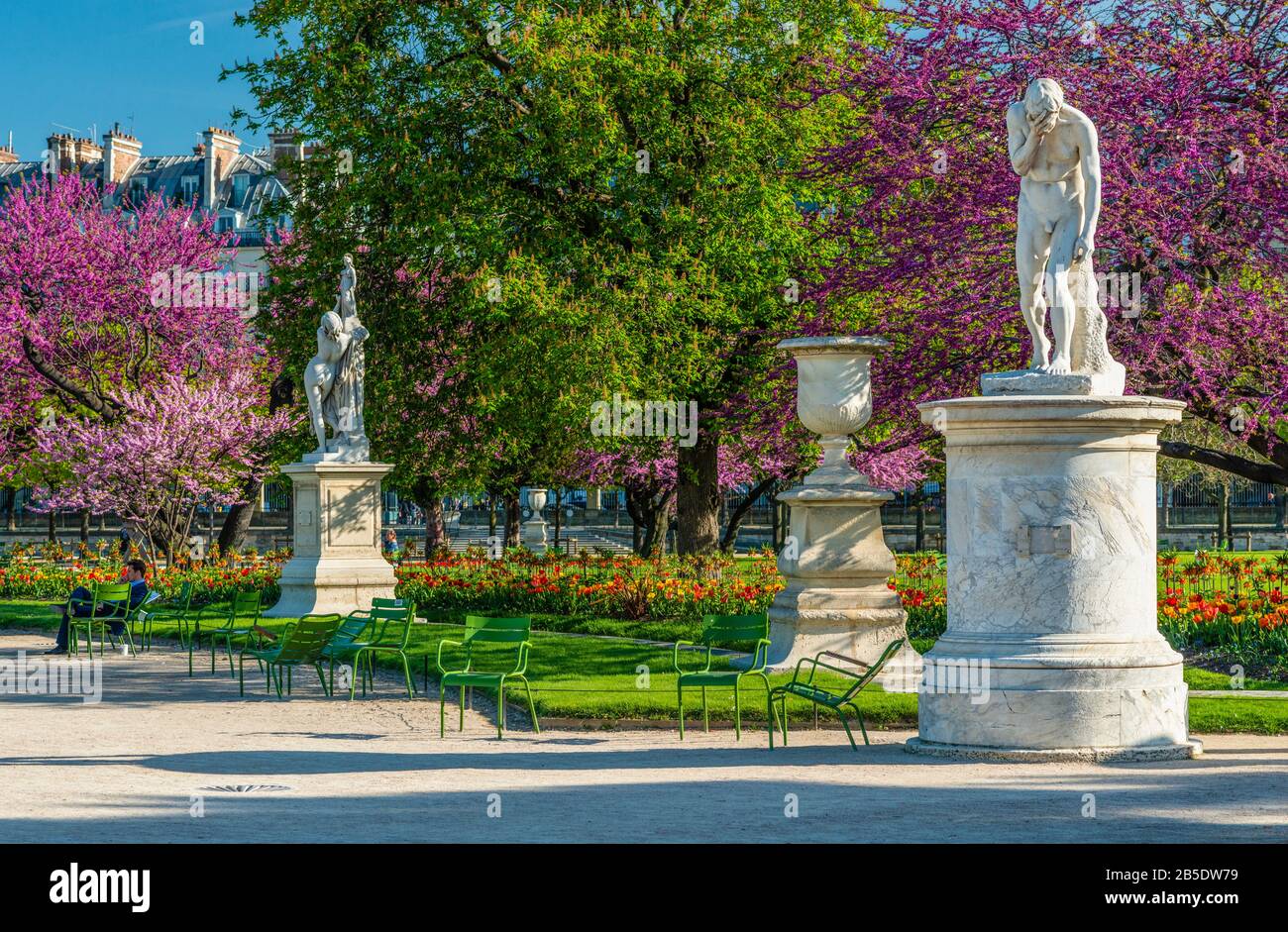 Vista delle Tuileries parco con fiori, statue, fontane e fiori di ciliegio durante il mese di aprile - primavera a Parigi, Francia. Foto Stock