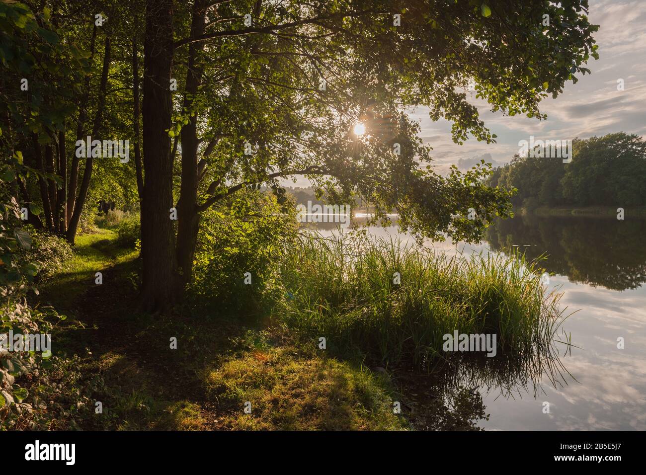 Lago Mustin, Villaggio Di Mustin, Contea Di Lauenburg, Schleswig-Holstein, Germania Del Nord, Europa Centrale Foto Stock