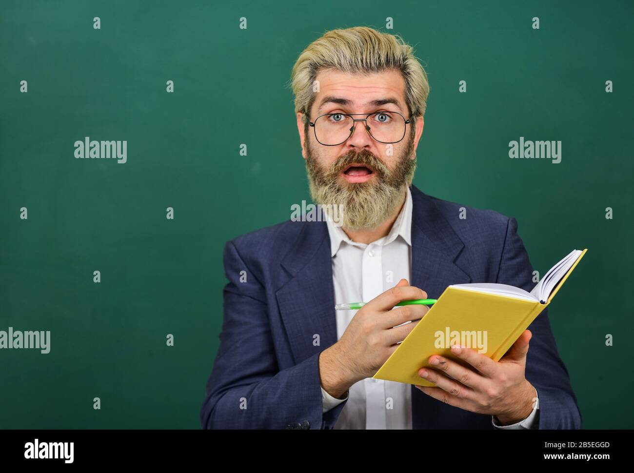 Insegnante con libro di testo. Insegnante esperto. Selezione dei corsi appropriati. Insegnante con libro spiega l'argomento. Uomo di fronte alla lavagna. College e liceo. Argomento della letteratura. Lettura di libri. Foto Stock