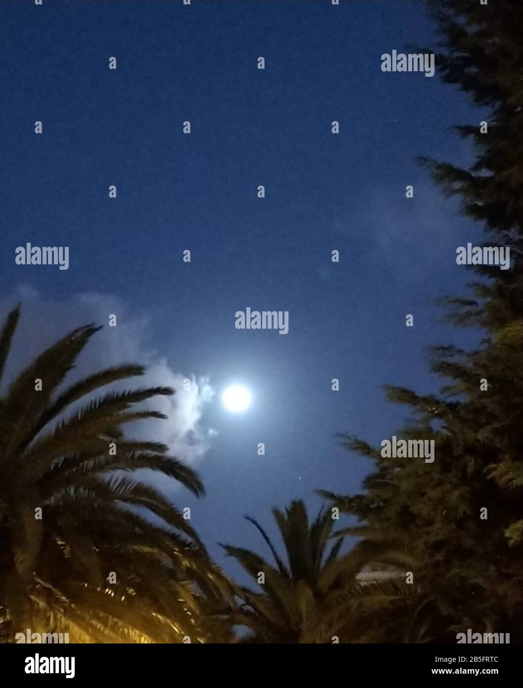 luna al anocecker Foto Stock