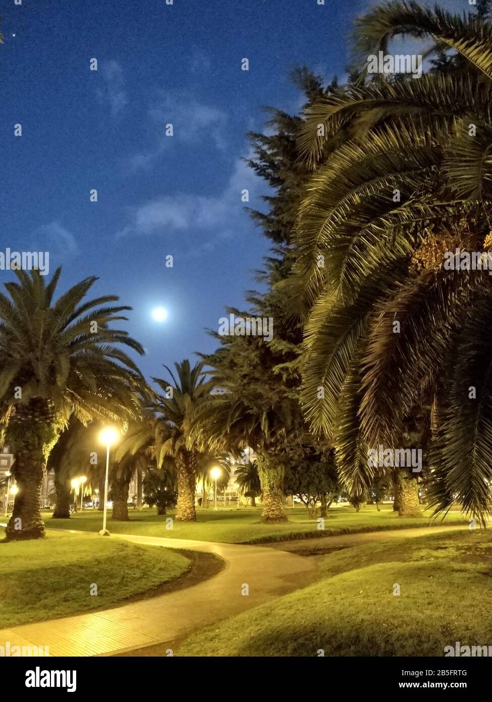 luna al anocecker Foto Stock