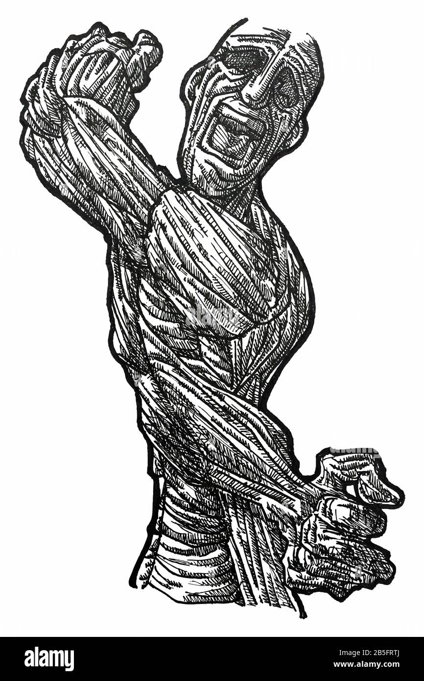 Disegno Di Inchiostro (Lavoro Di Portello) Del Corpo Muscolare Contorto Dettagliato In Uno Stile Unico Testurizzato. Illustrazione manuale artistica girata su vettore. Dolore, Agonia, Illustrazione Vettoriale