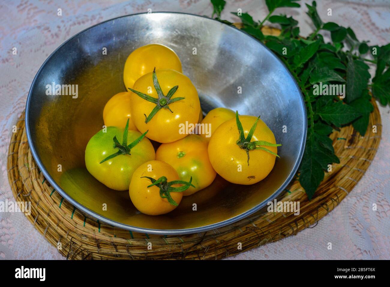 fuente con tomates amarillos Foto Stock