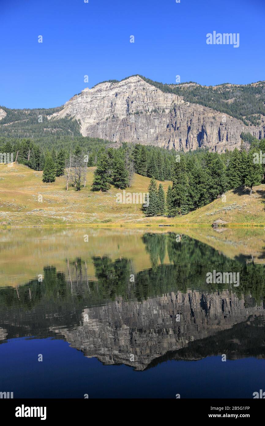 Trota Lago riflessione montagna in estate nel Parco Nazionale di Yellowstone Foto Stock
