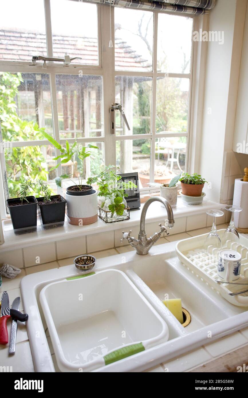Cucina finestra cill con una varietà di piante, Inghilterra Foto Stock