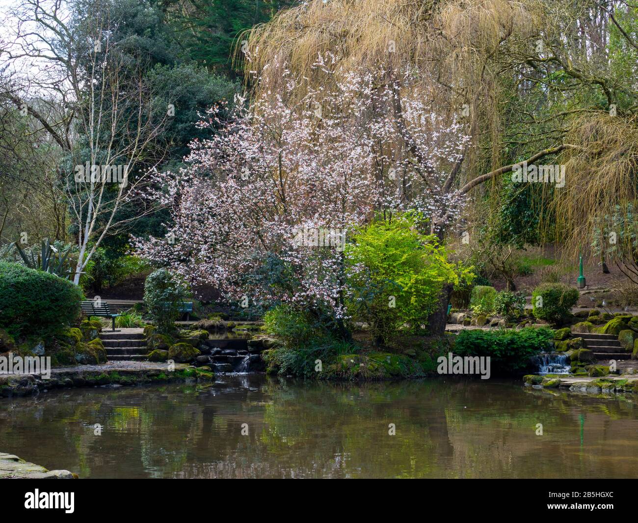 Stagno e alberi con primi fiori primaverili a Peasholm Park, Scarborough, North Yorkshire, Inghilterra Foto Stock