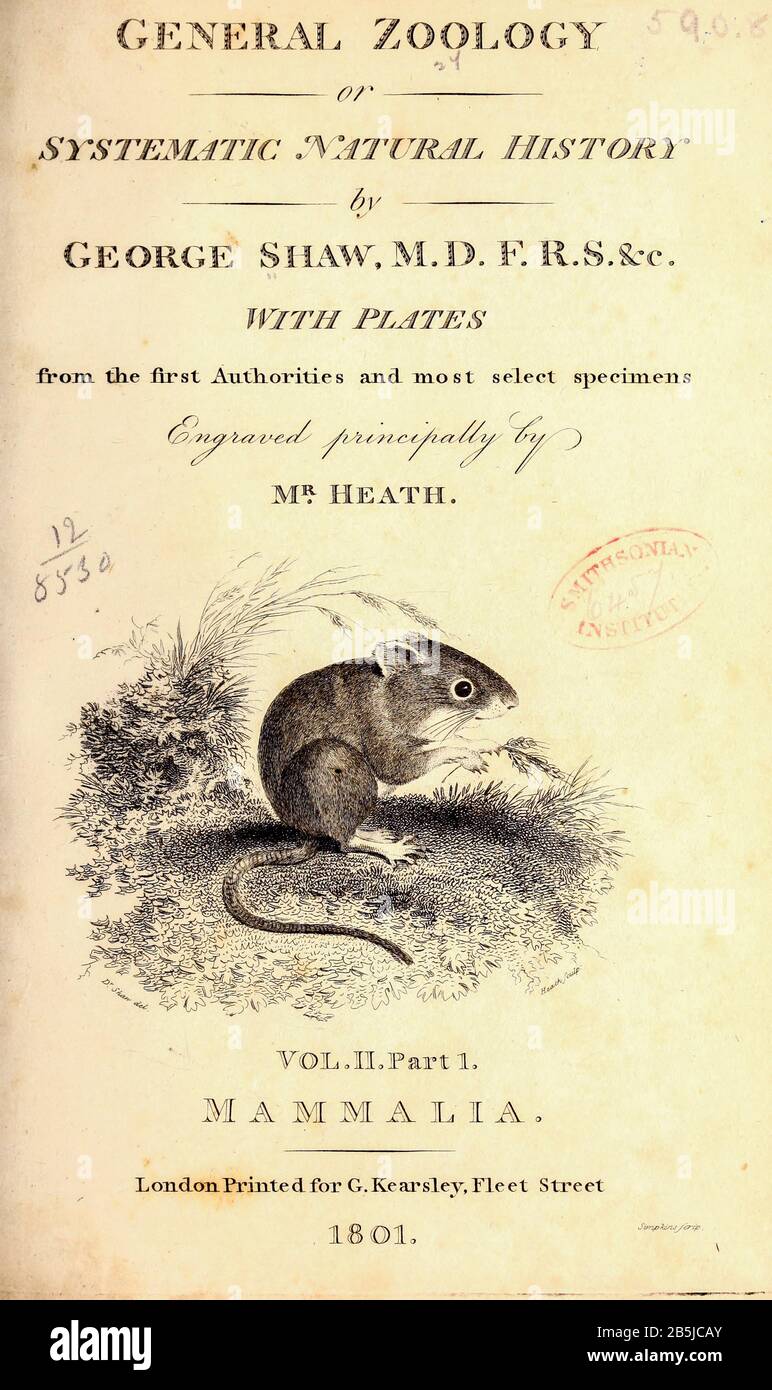 Titolo pagina da zoologia generale, o, Sistematica storia naturale Vol II parte 1 Mammalia, di Shaw, George, 1751-1813; Stephens, James Francis, 1792-1853; Heath, Charles, 1785-1848, incisore; Griffith, signora, incisore; Chappelow. Copperplate Stampato a Londra nel 1801 da G. Kearsley Foto Stock