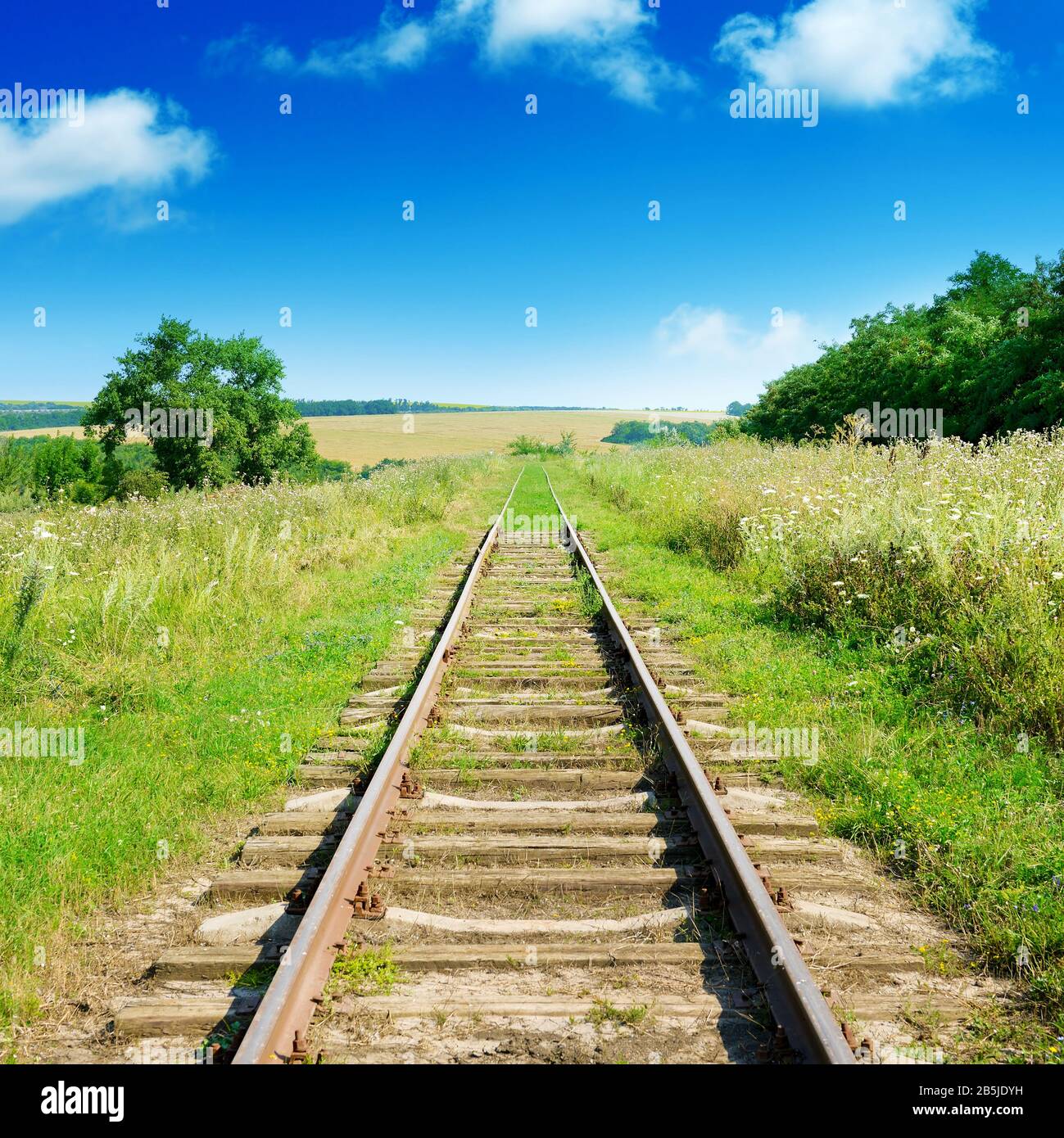 Vecchia pista ferroviaria tra campi estivi e cielo blu Foto Stock