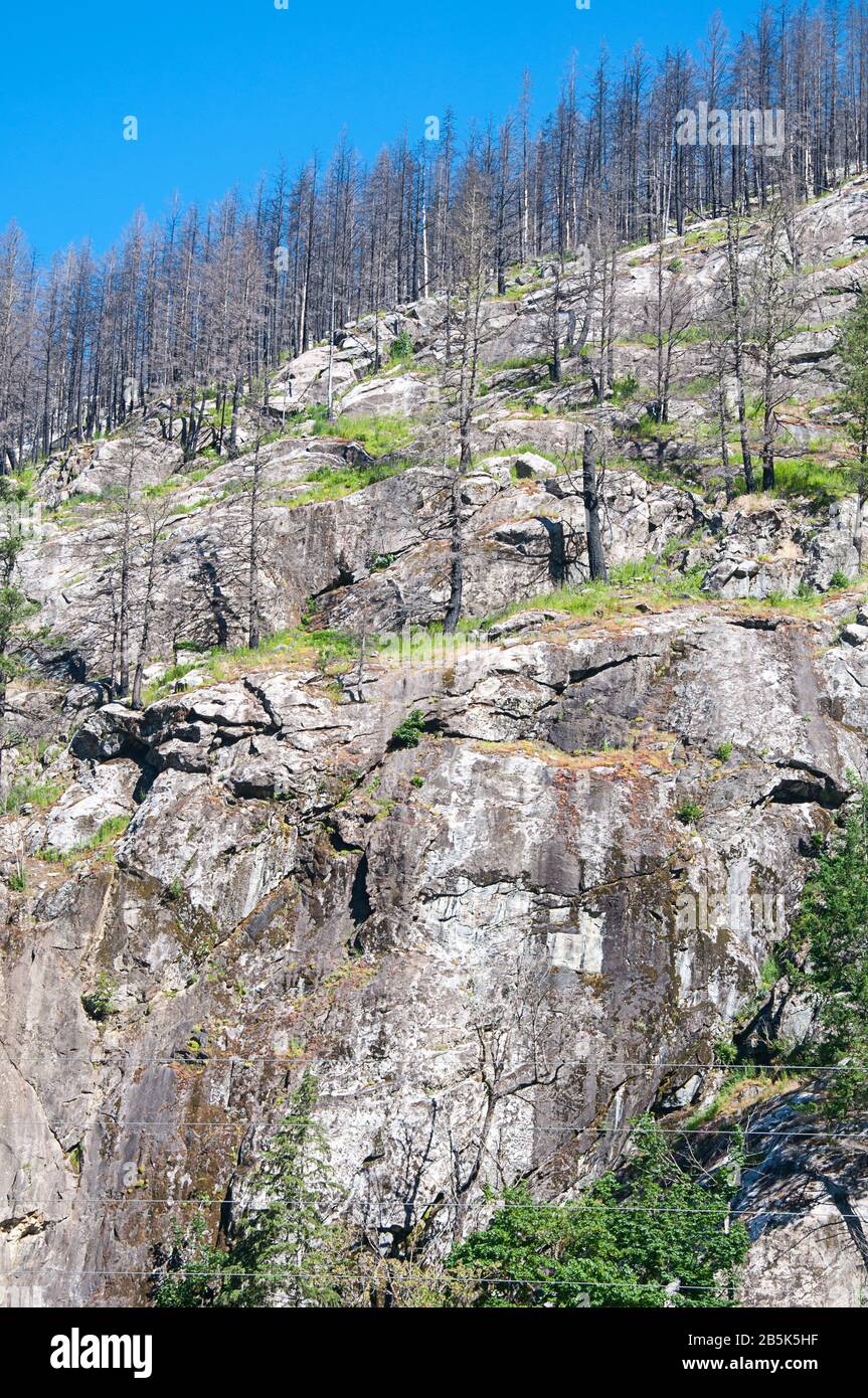 Scoscesa scogliera dopo il fuoco della foresta con tutti gli alberi bruciati. Nuova erba sta cominciando a crescere in questo paesaggio ecologico della natura. Foto Stock