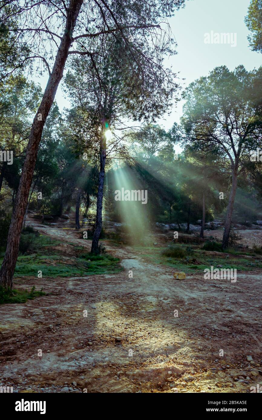 Alba con alos di luce nella Valle perduta, Sierra de Carrascoy. Murcia, Spagna Foto Stock